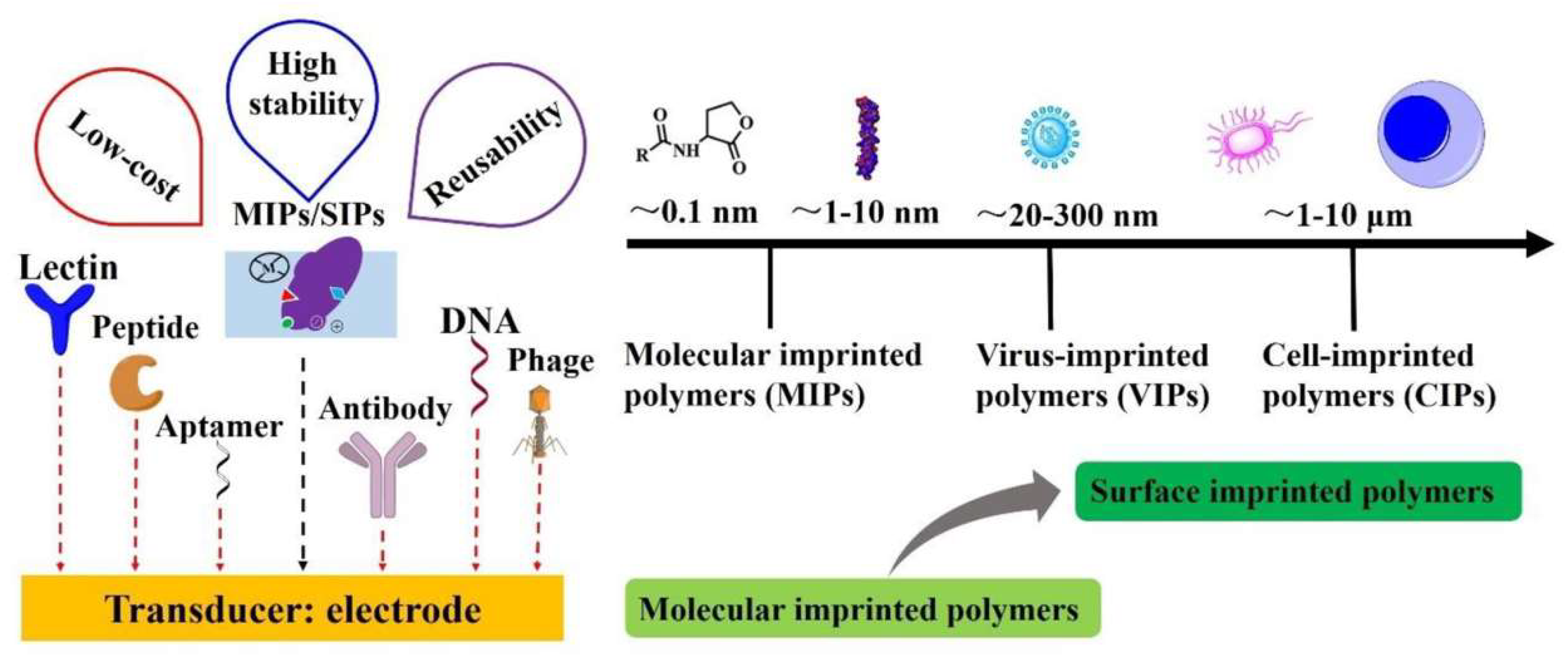 Analytica 03 00005 g005