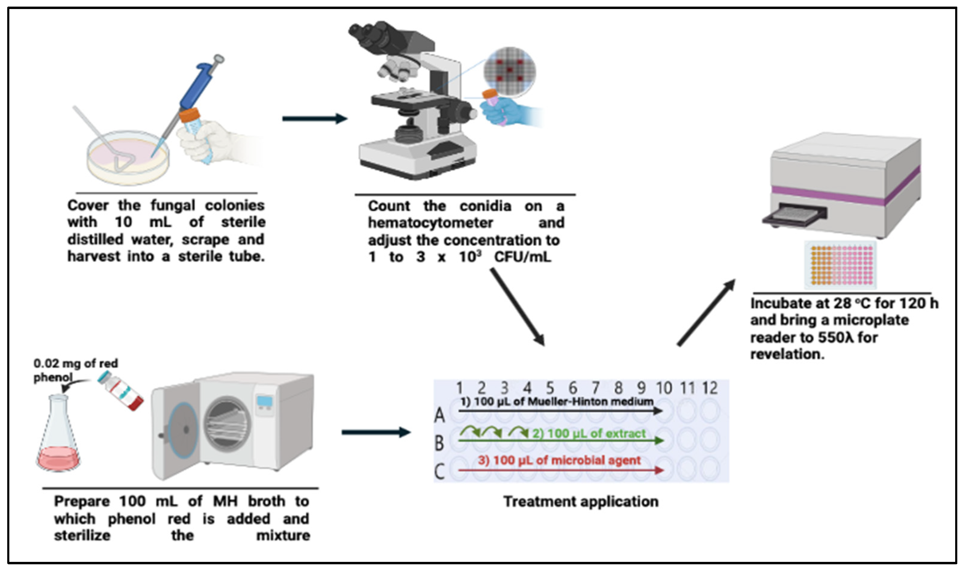 Analytica 03 00016 g002