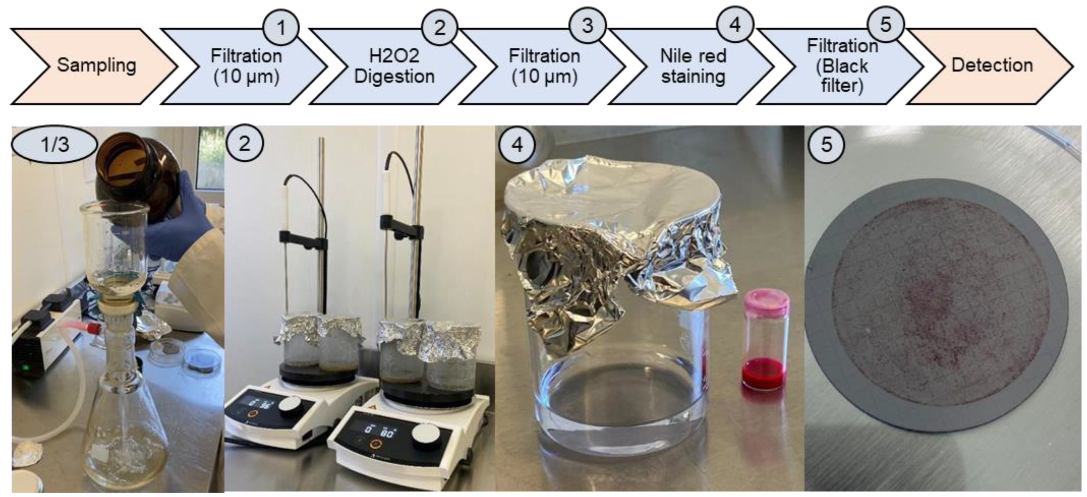 Analytica 04 00004 g003