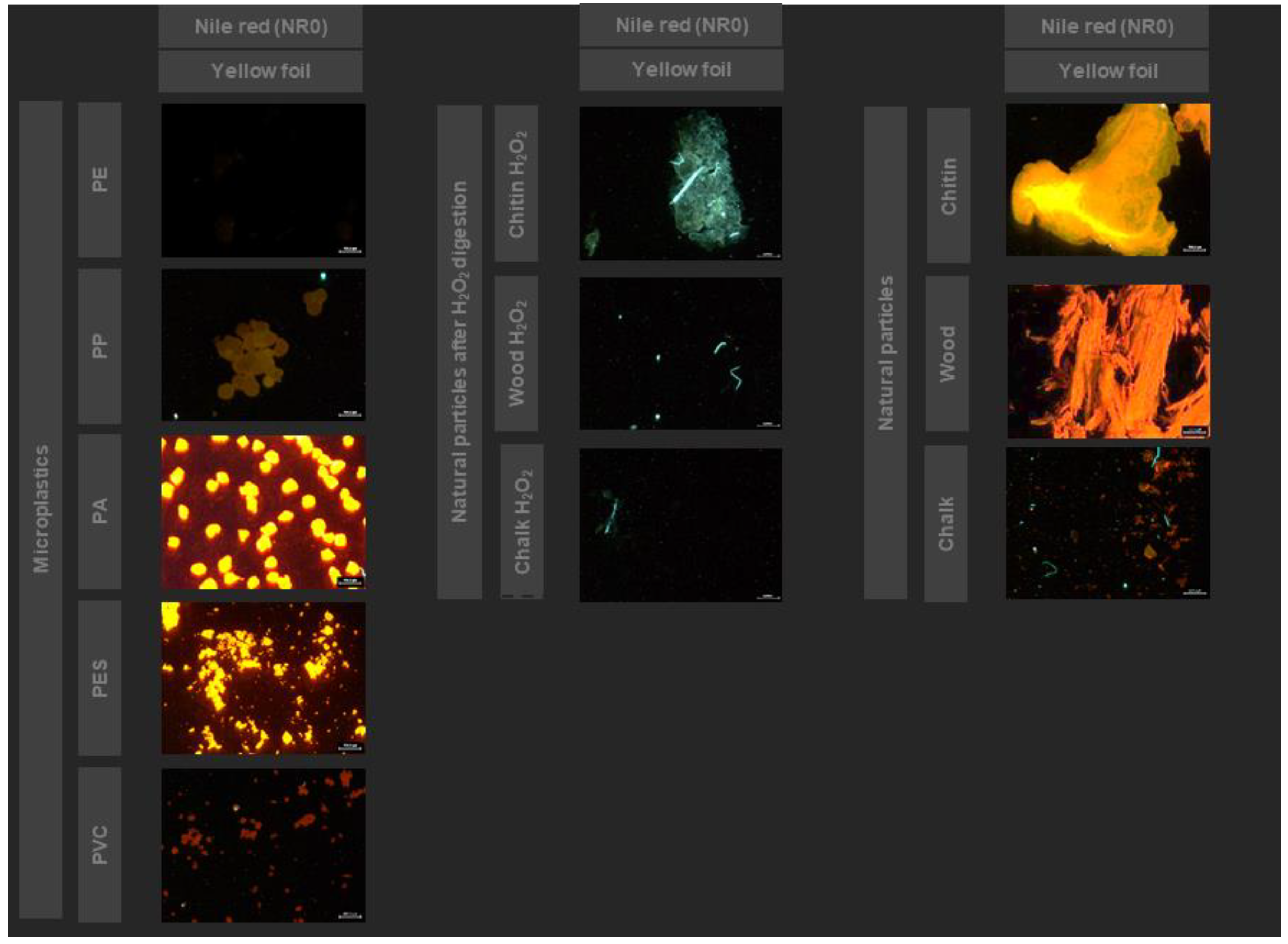 Analytica 04 00004 g004