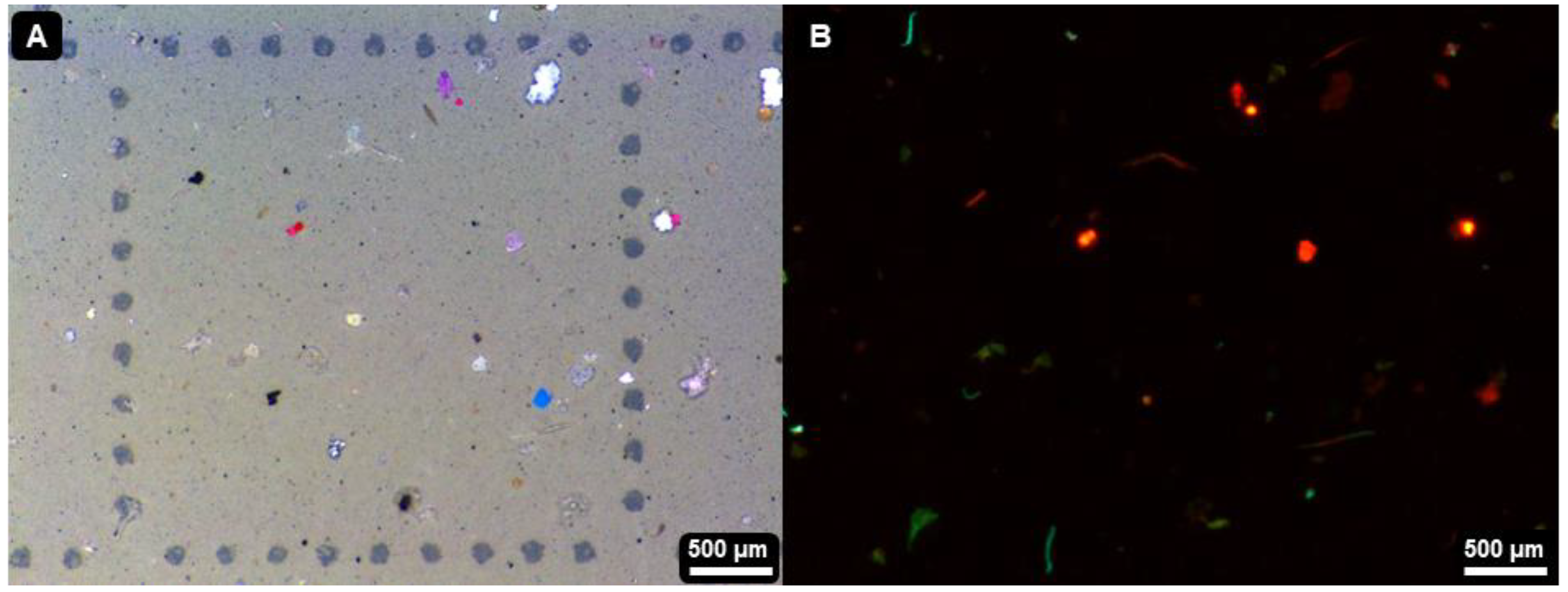 Analytica 04 00004 g005
