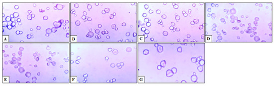 Analytica 04 00011 g004