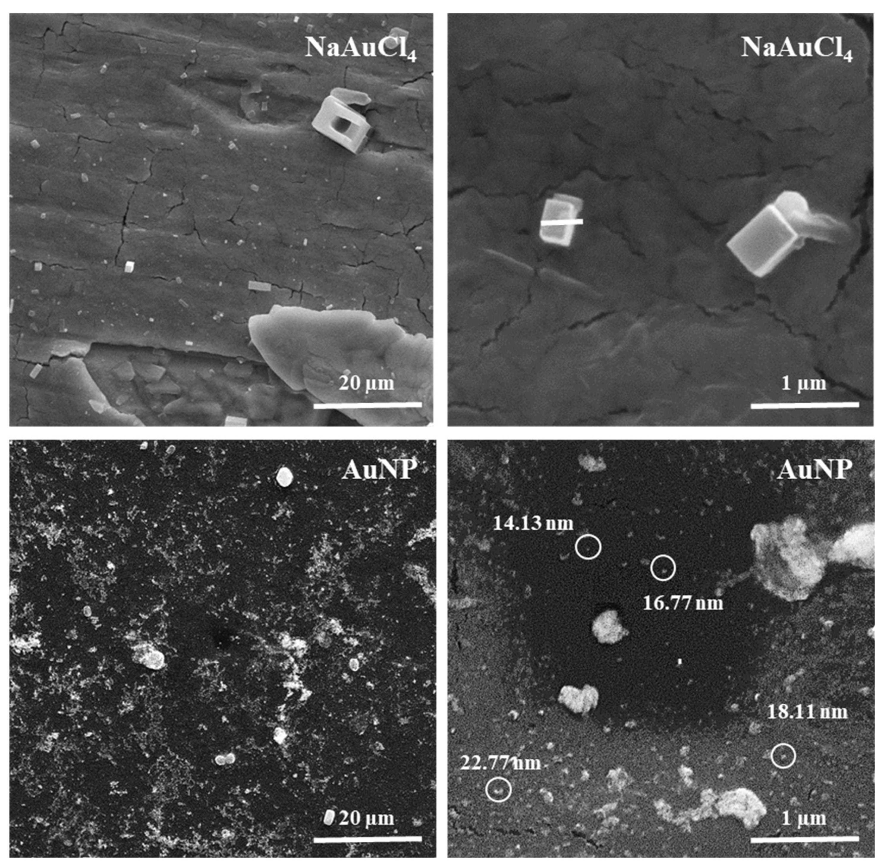 Analytica 04 00020 g009