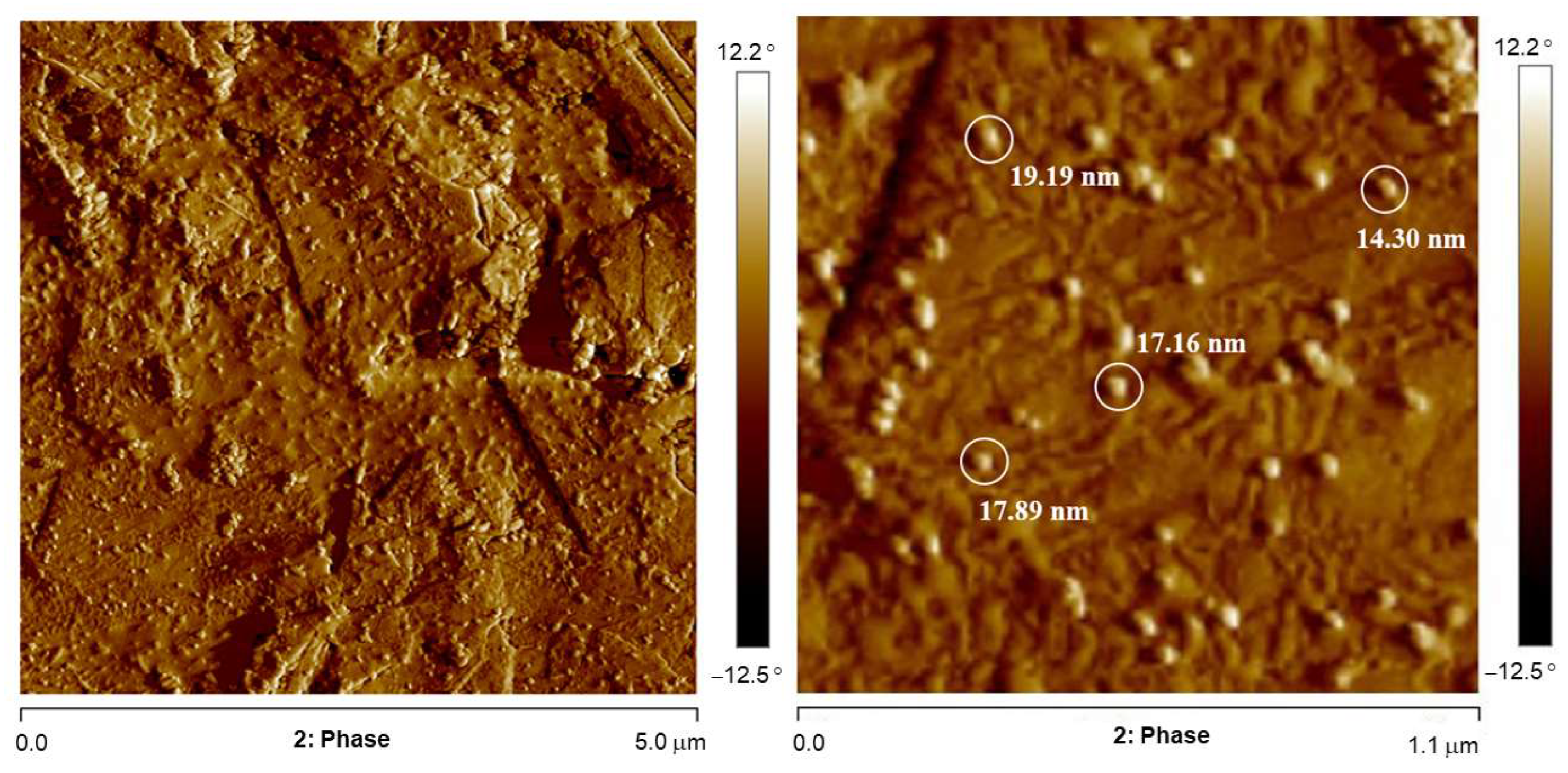 Analytica 04 00020 g010