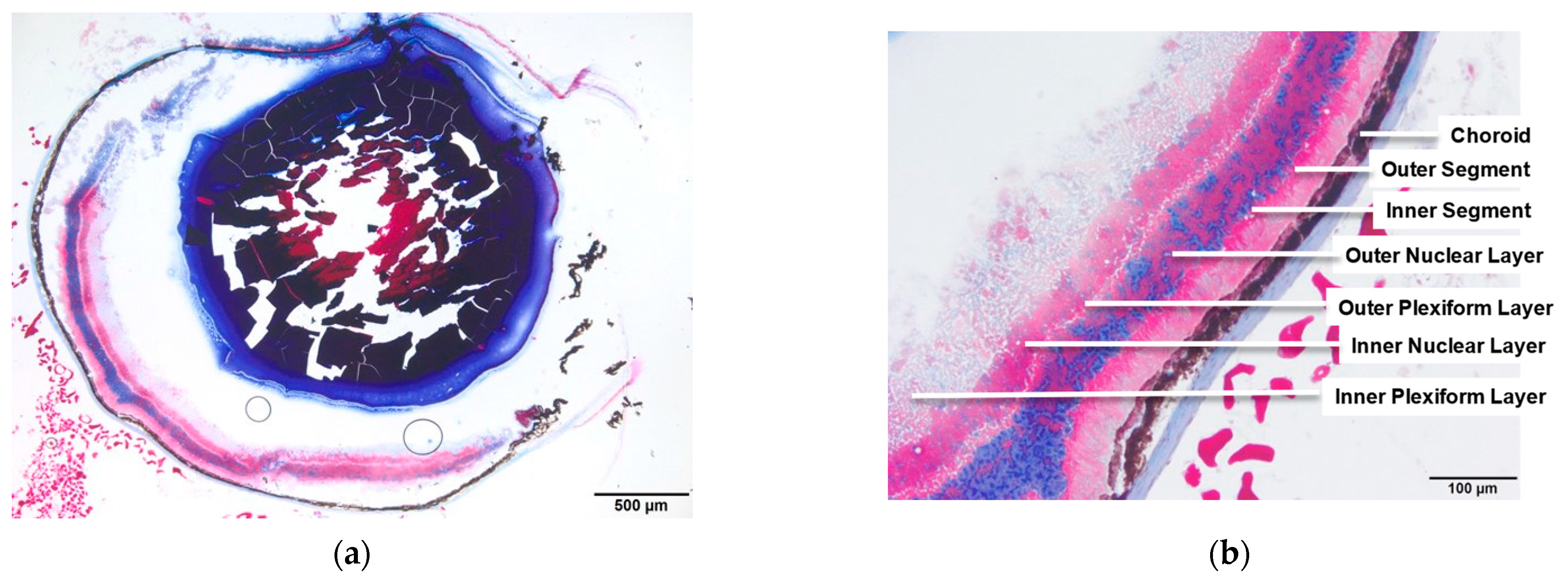 Analytica 04 00021 g001a