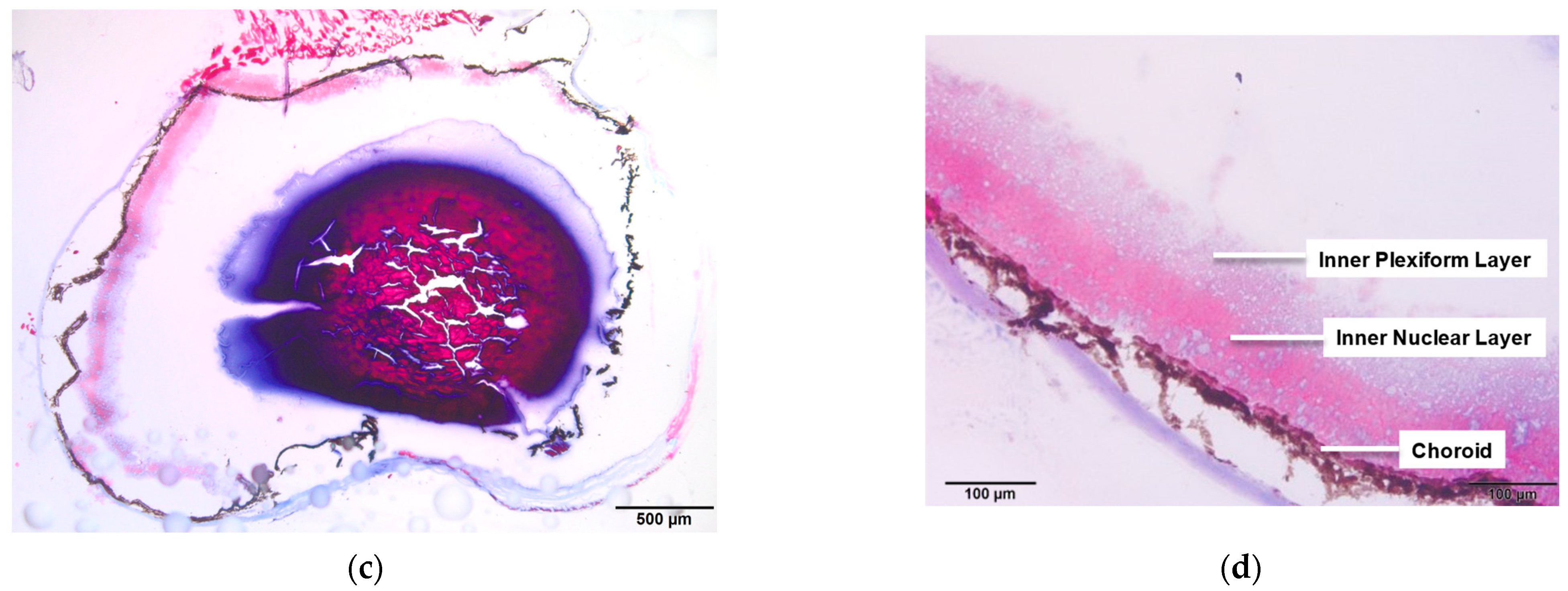 Analytica 04 00021 g001b
