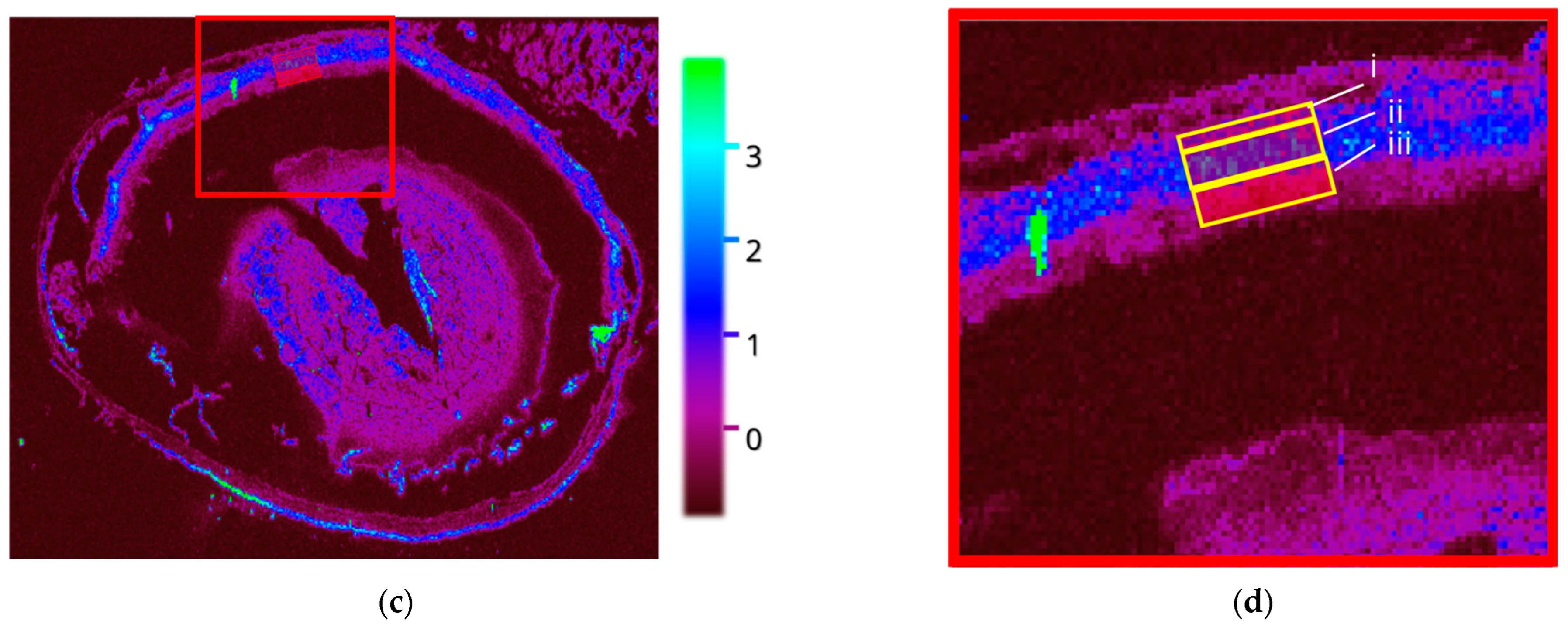 Analytica 04 00021 g003b