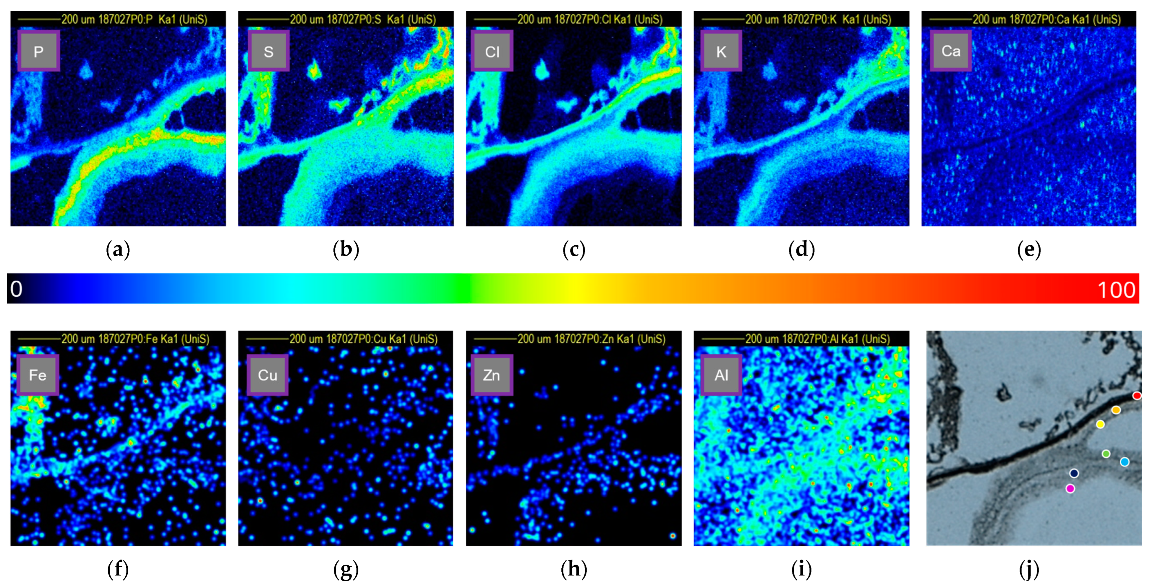 Analytica 04 00021 g005