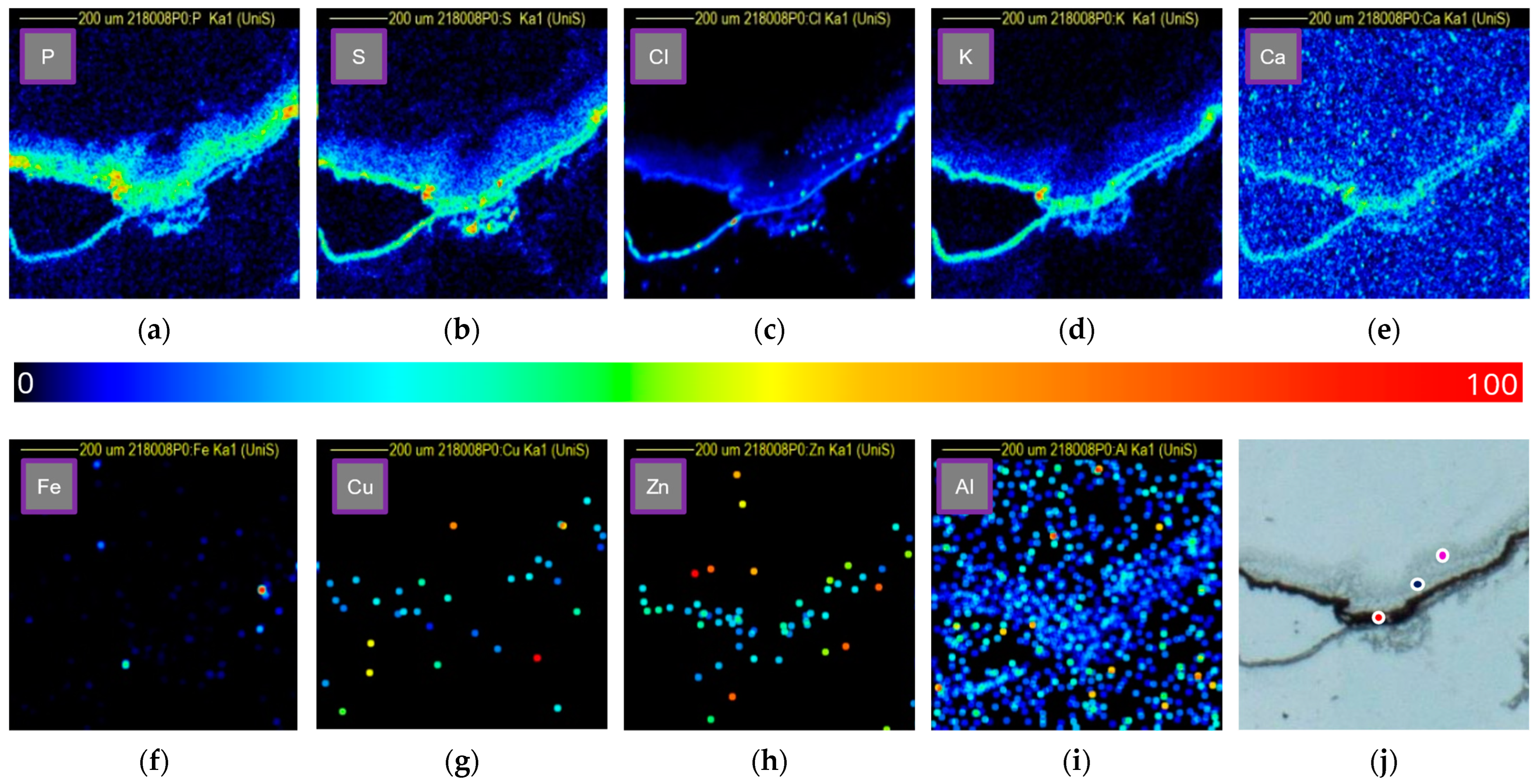 Analytica 04 00021 g006