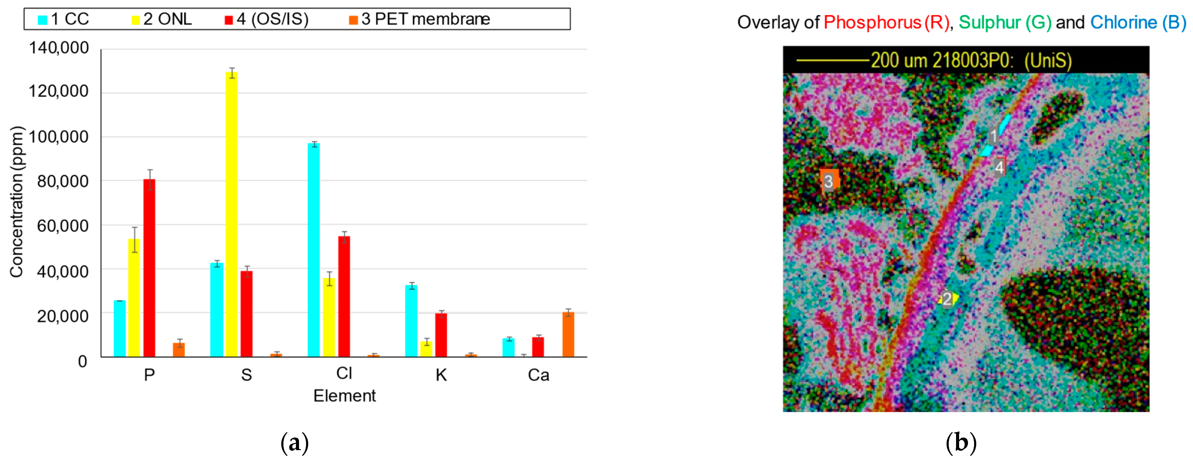 Analytica 04 00021 g007