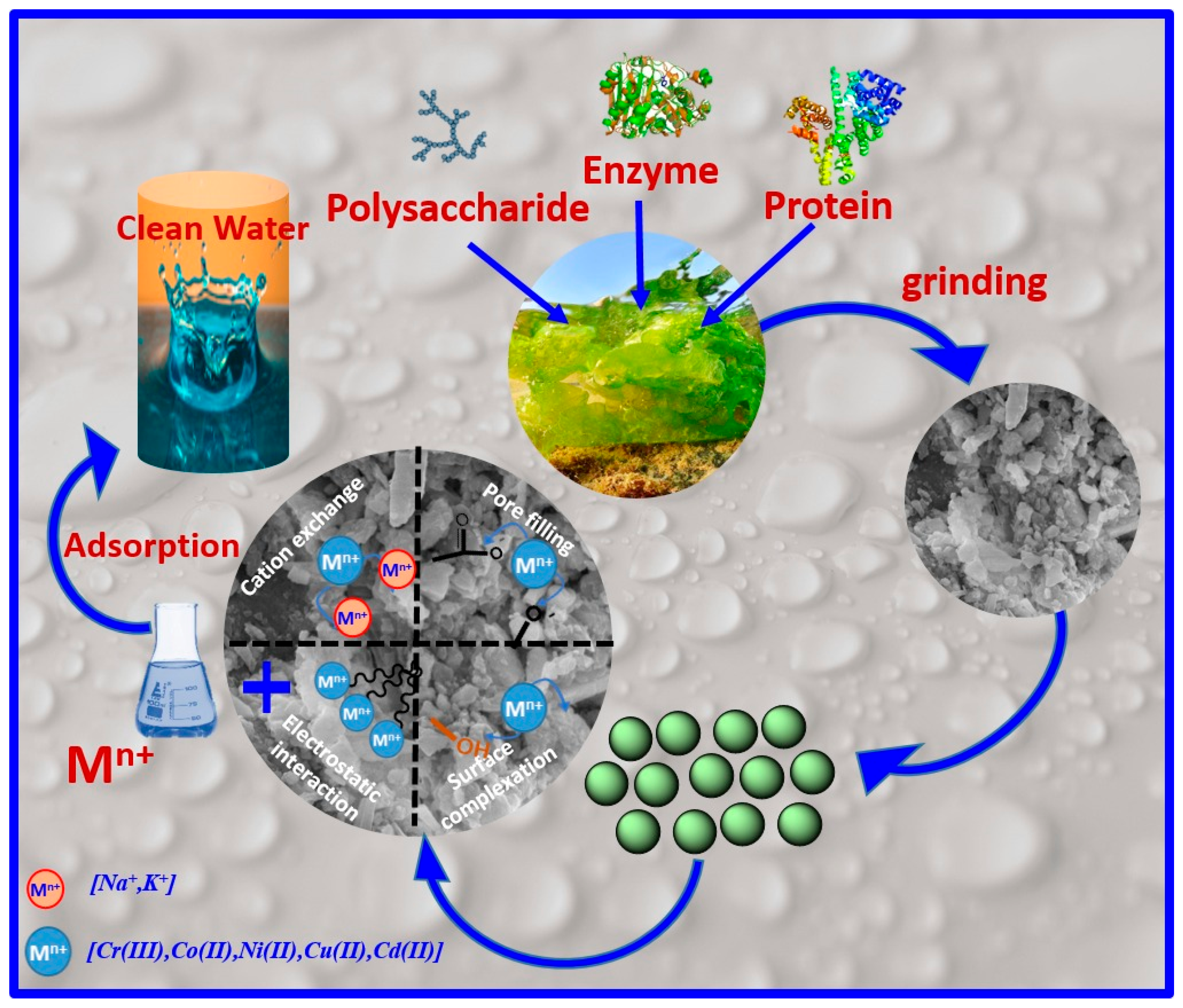 Analytica 05 00021 g013