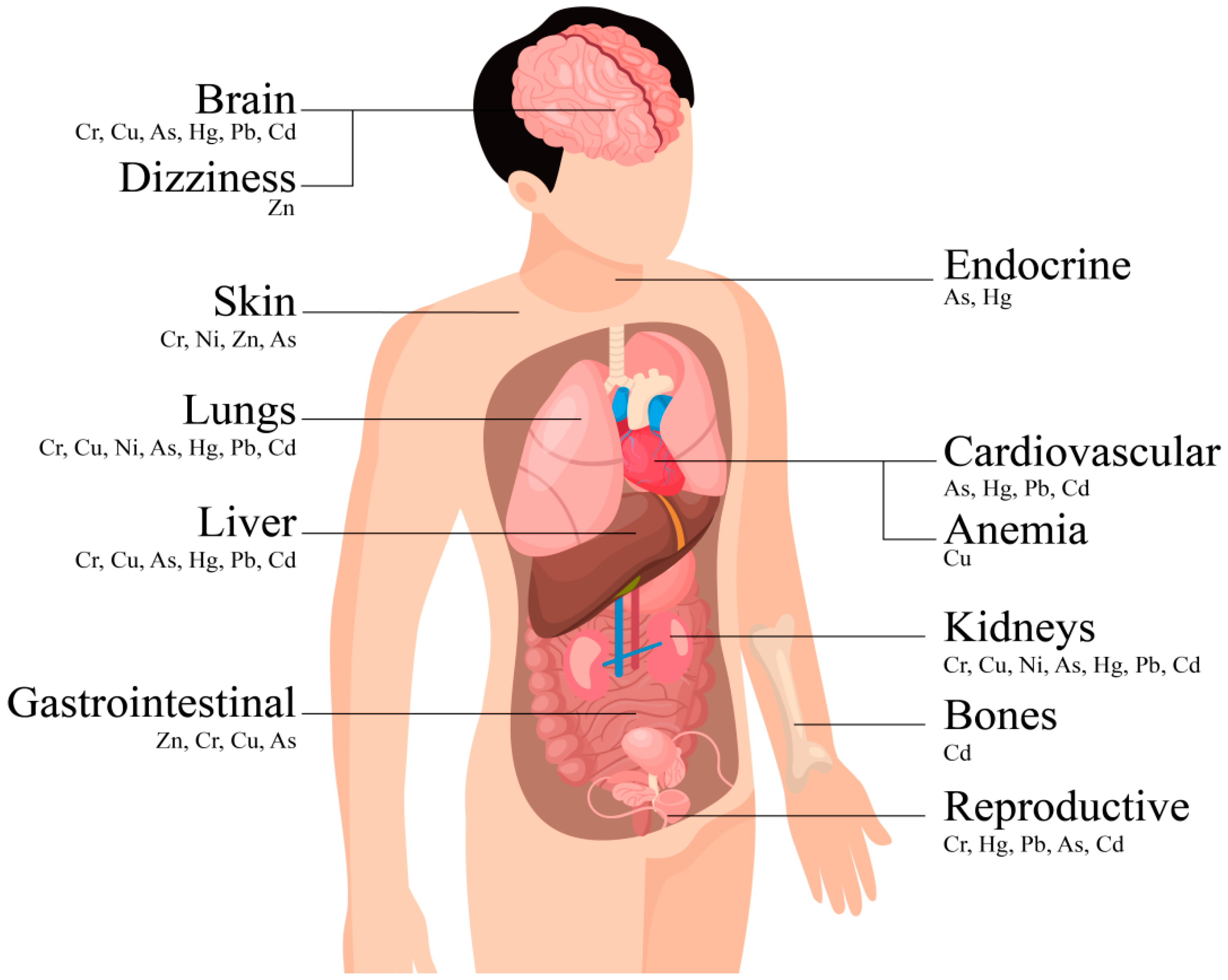 Analytica 05 00023 g001