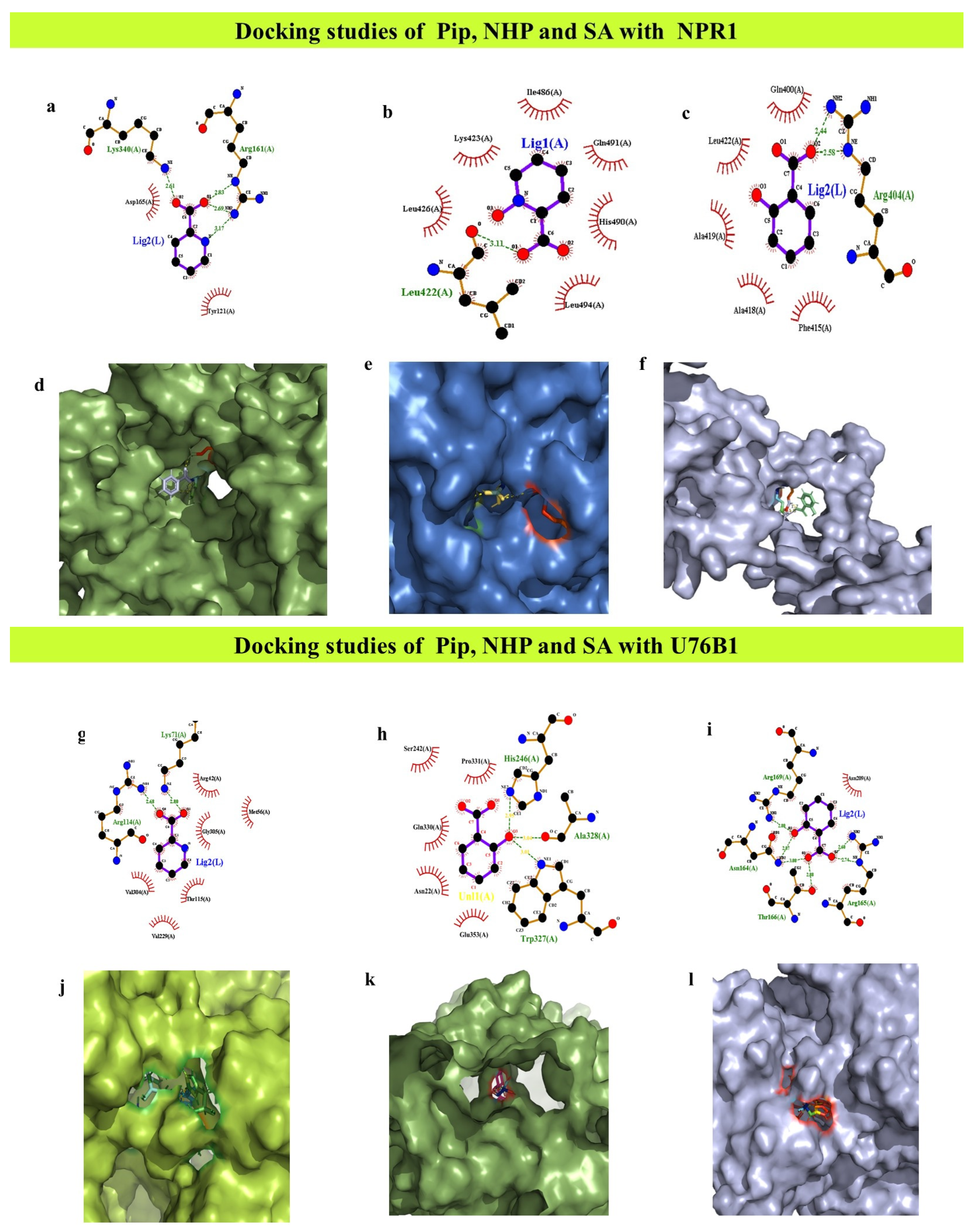 Analytica 06 00002 g004