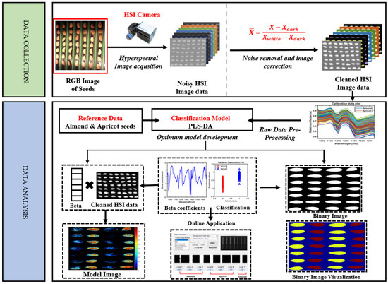 Analytica 06 00051 g006