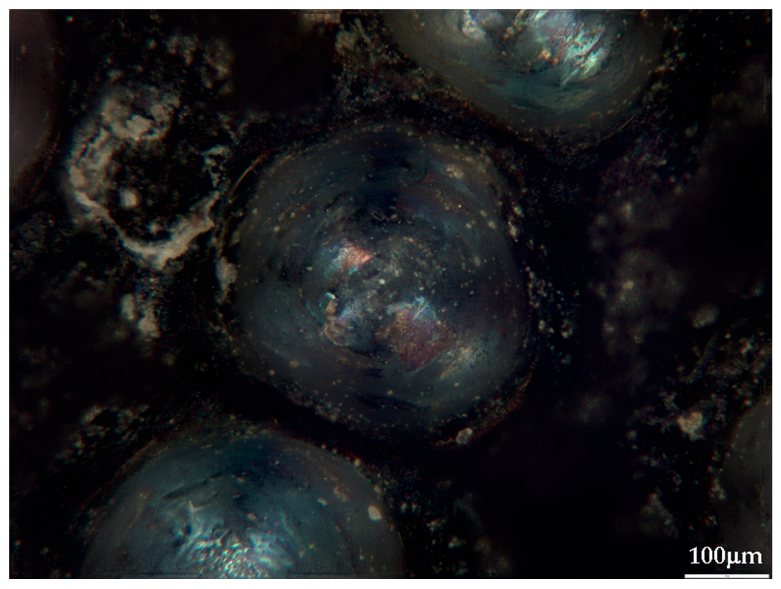 Analytica 06 00055 g005