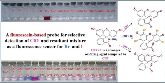Molecular structure of probe 1.