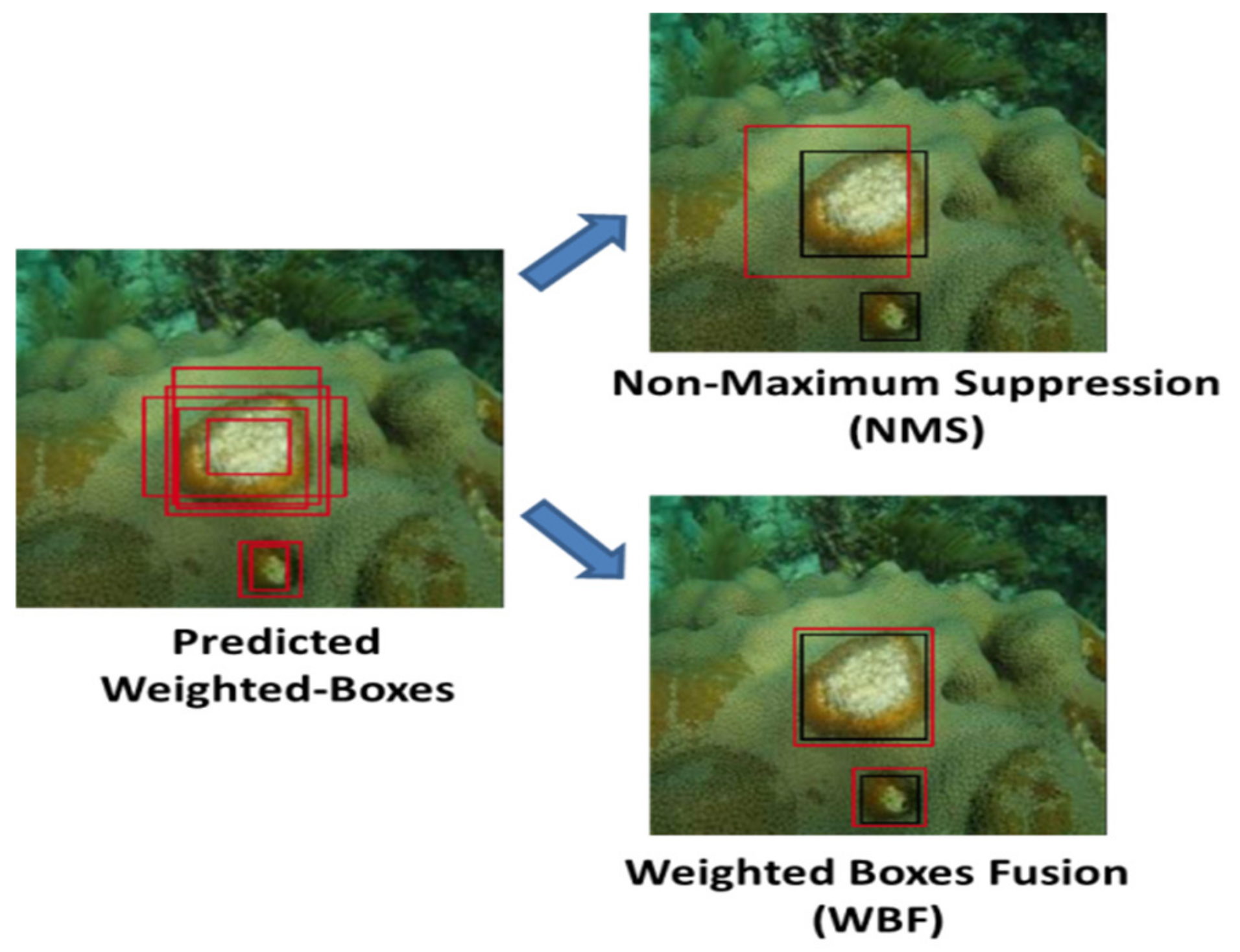 Analytics 02 00006 g015