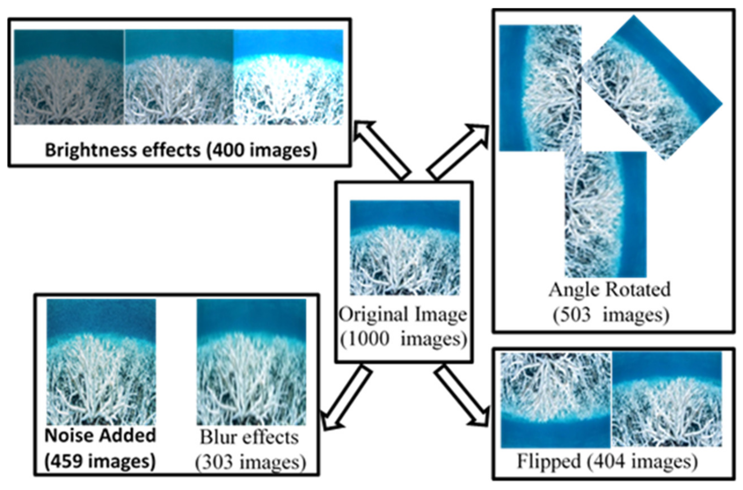 Analytics 02 00006 g017