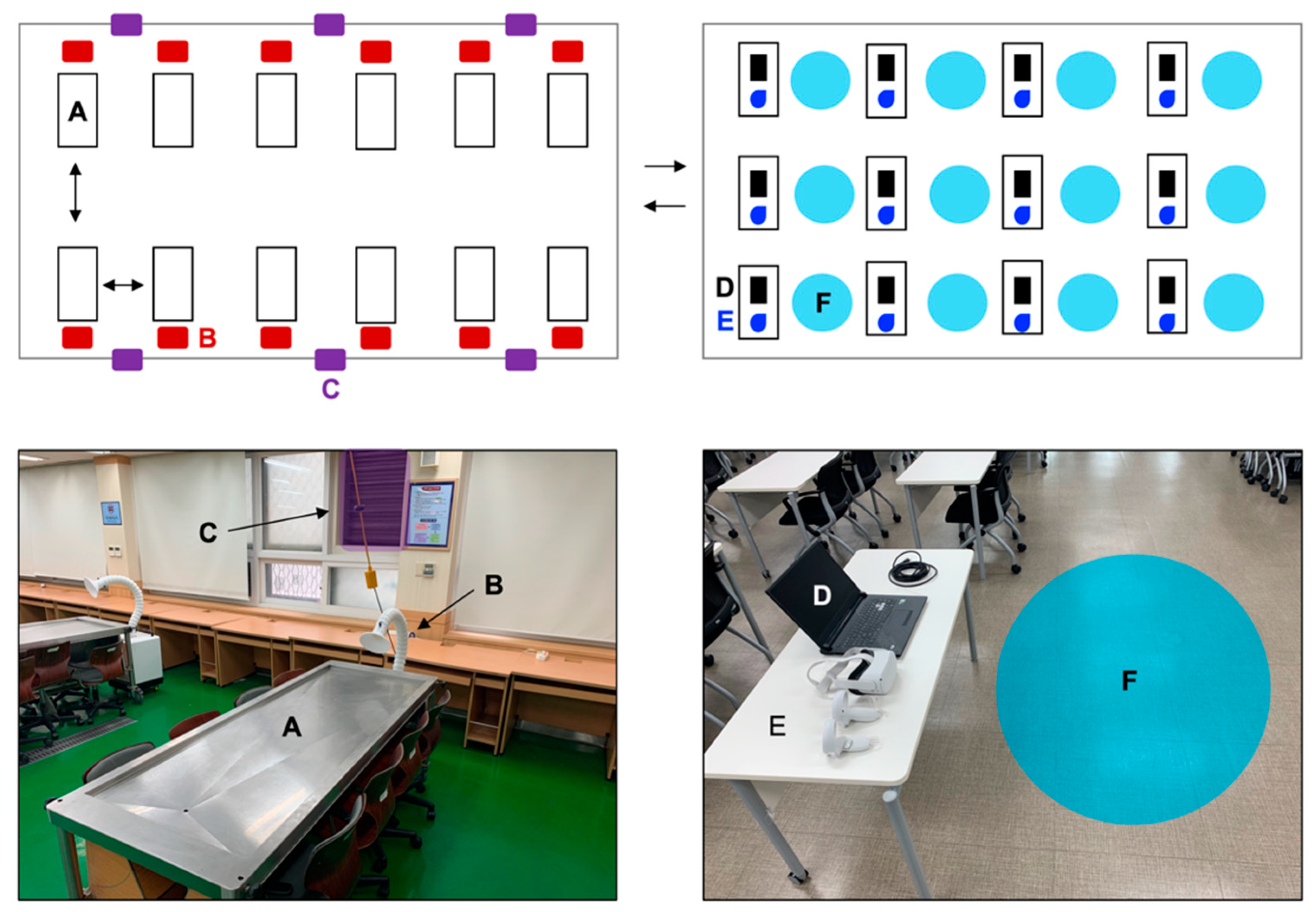 Anatomia 01 00014 g001