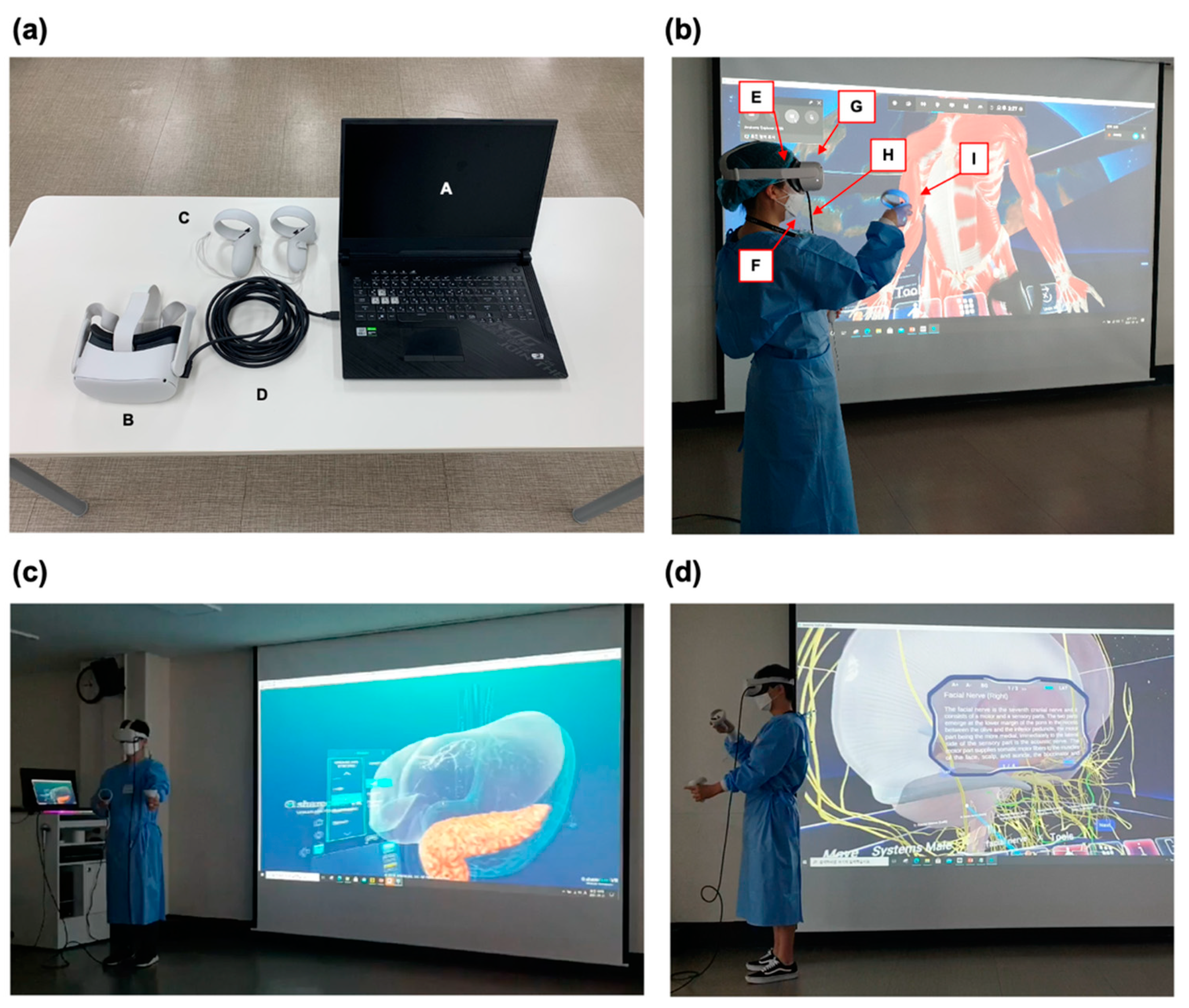 Anatomia 01 00014 g002