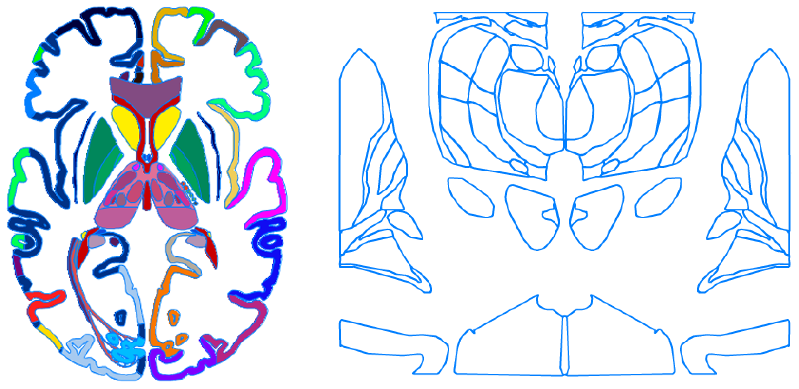 Anatomia 02 00004 g001 Anatomia 02 00004 g001