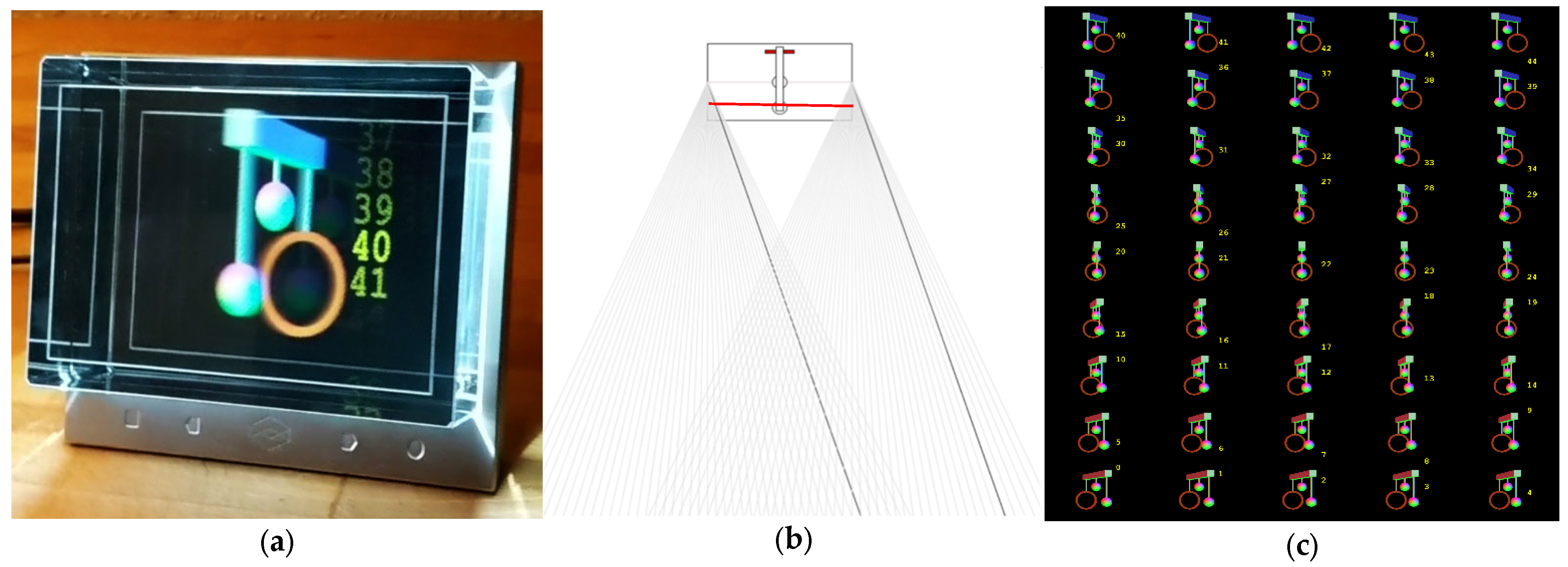 Anatomia 02 00008 g001