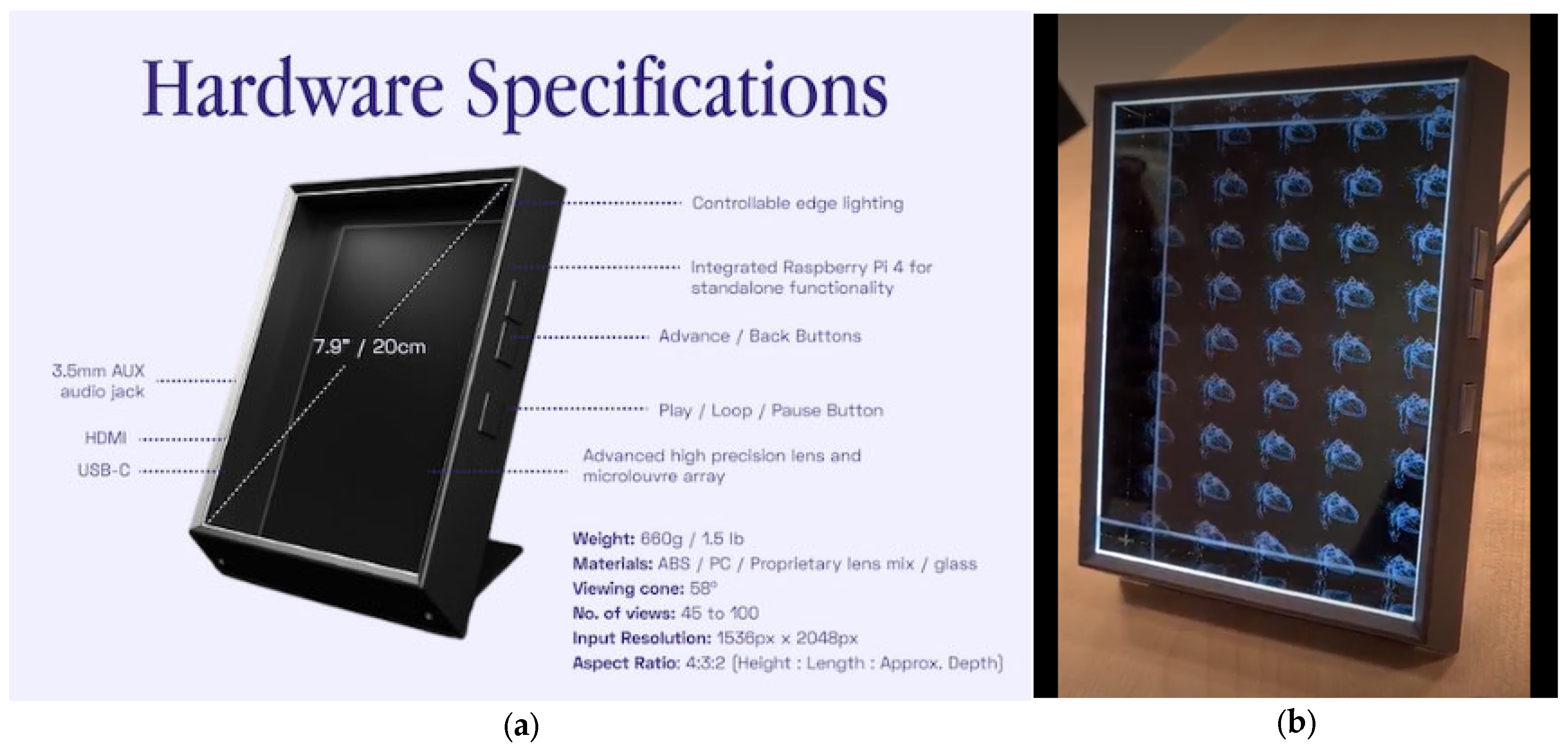 Anatomia 02 00008 g002