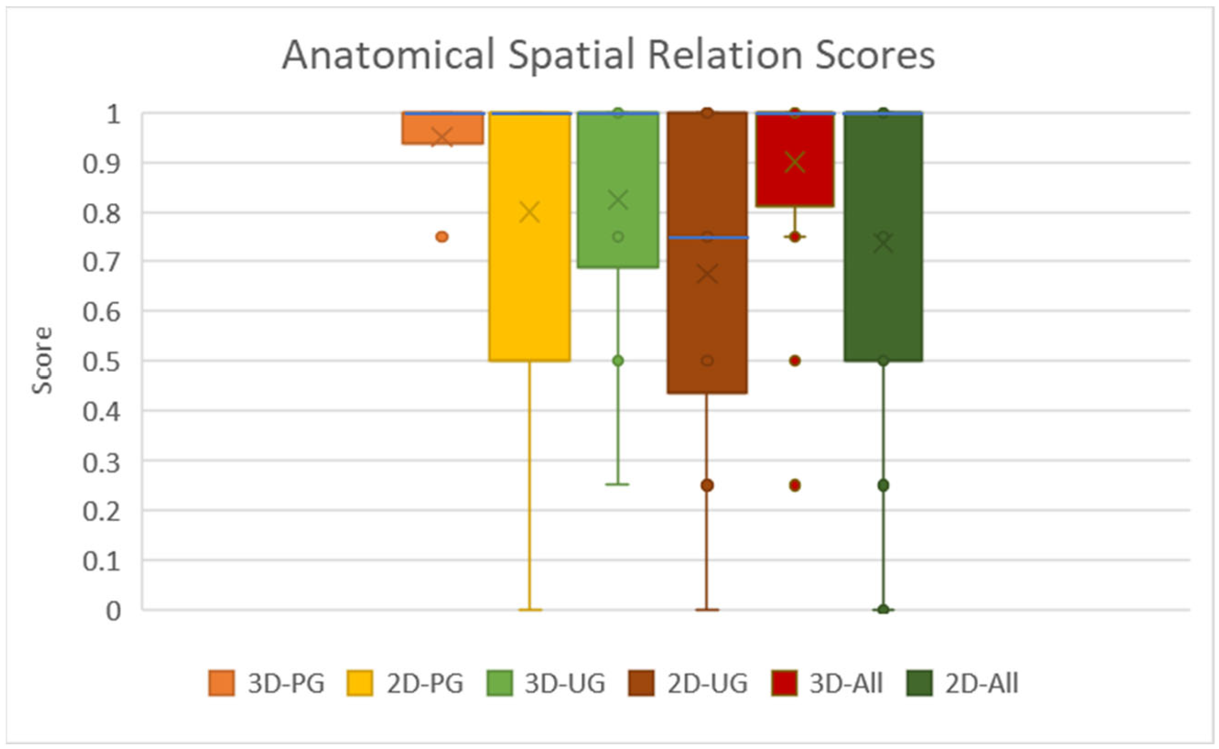 Anatomia 02 00008 g005