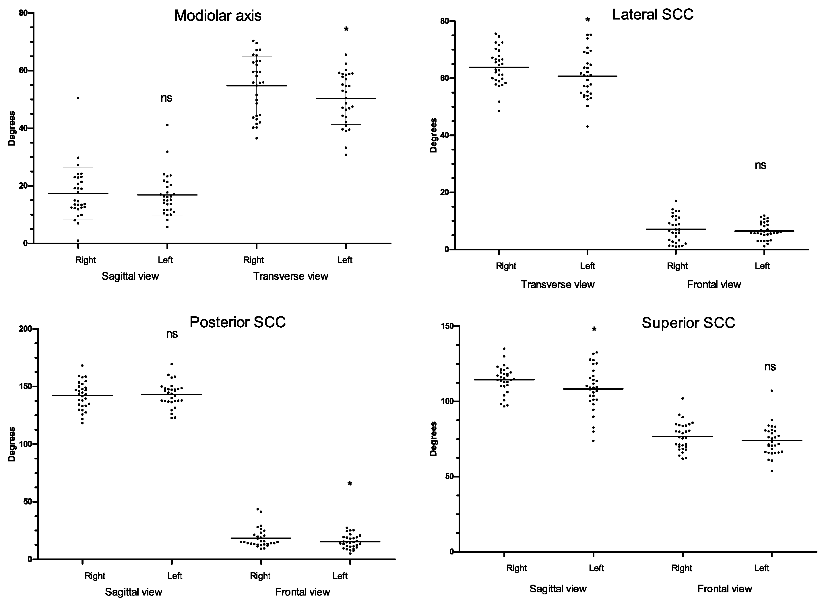 Anatomia 02 00009 g006