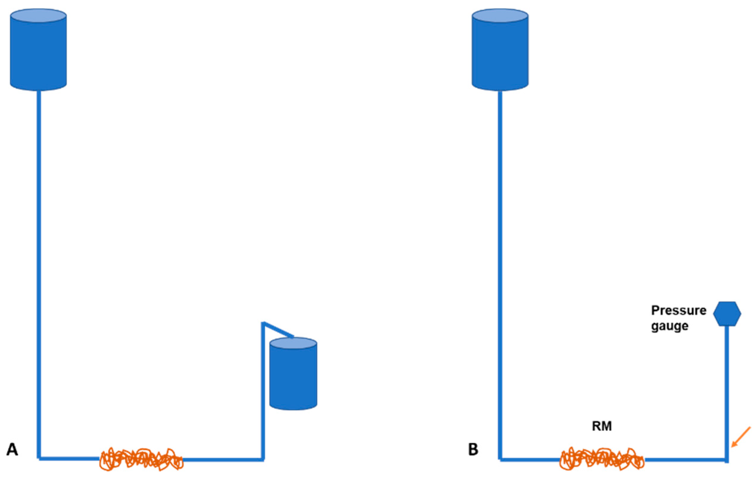 Anatomia 02 00013 g002