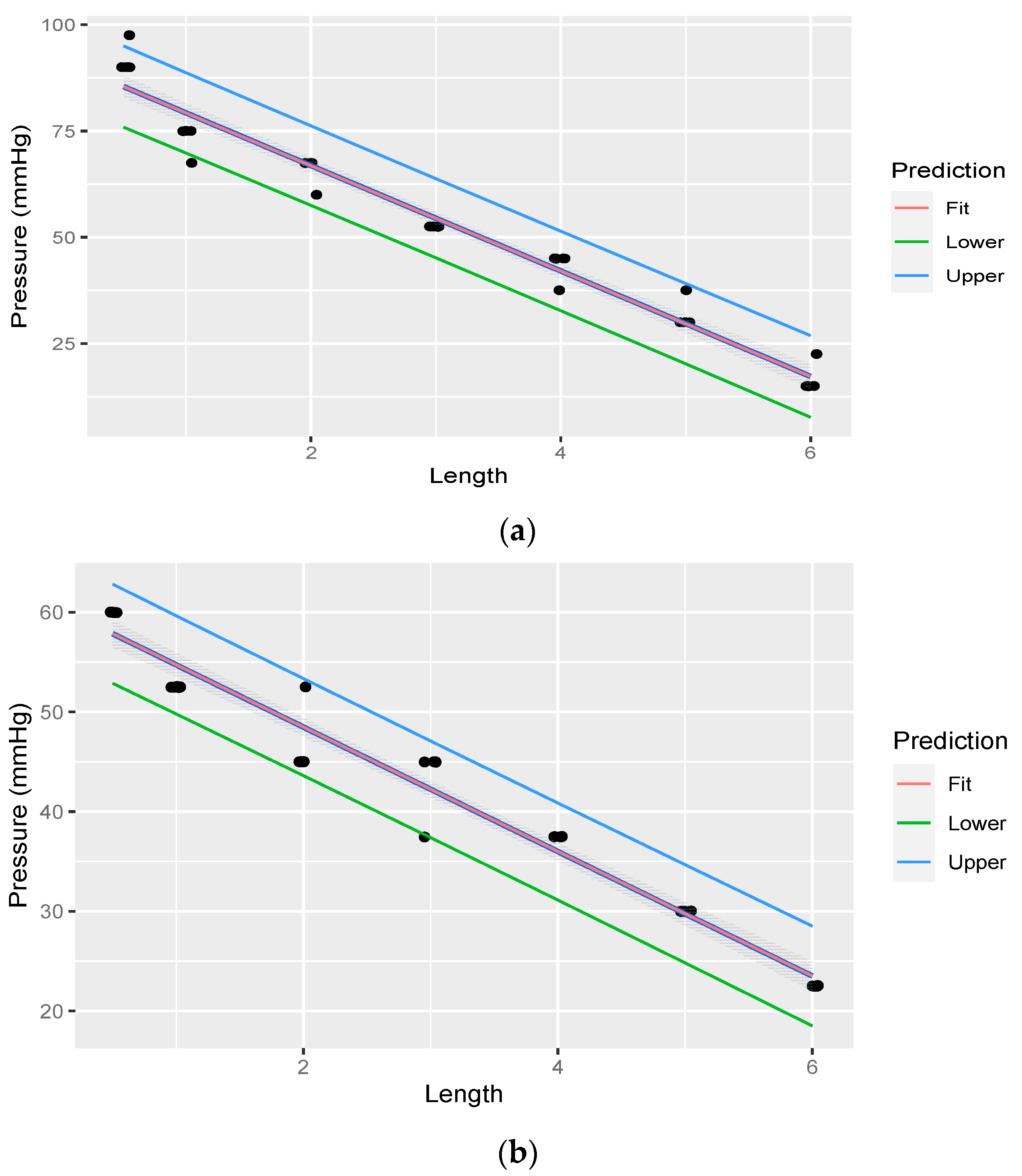 Anatomia 02 00013 g007