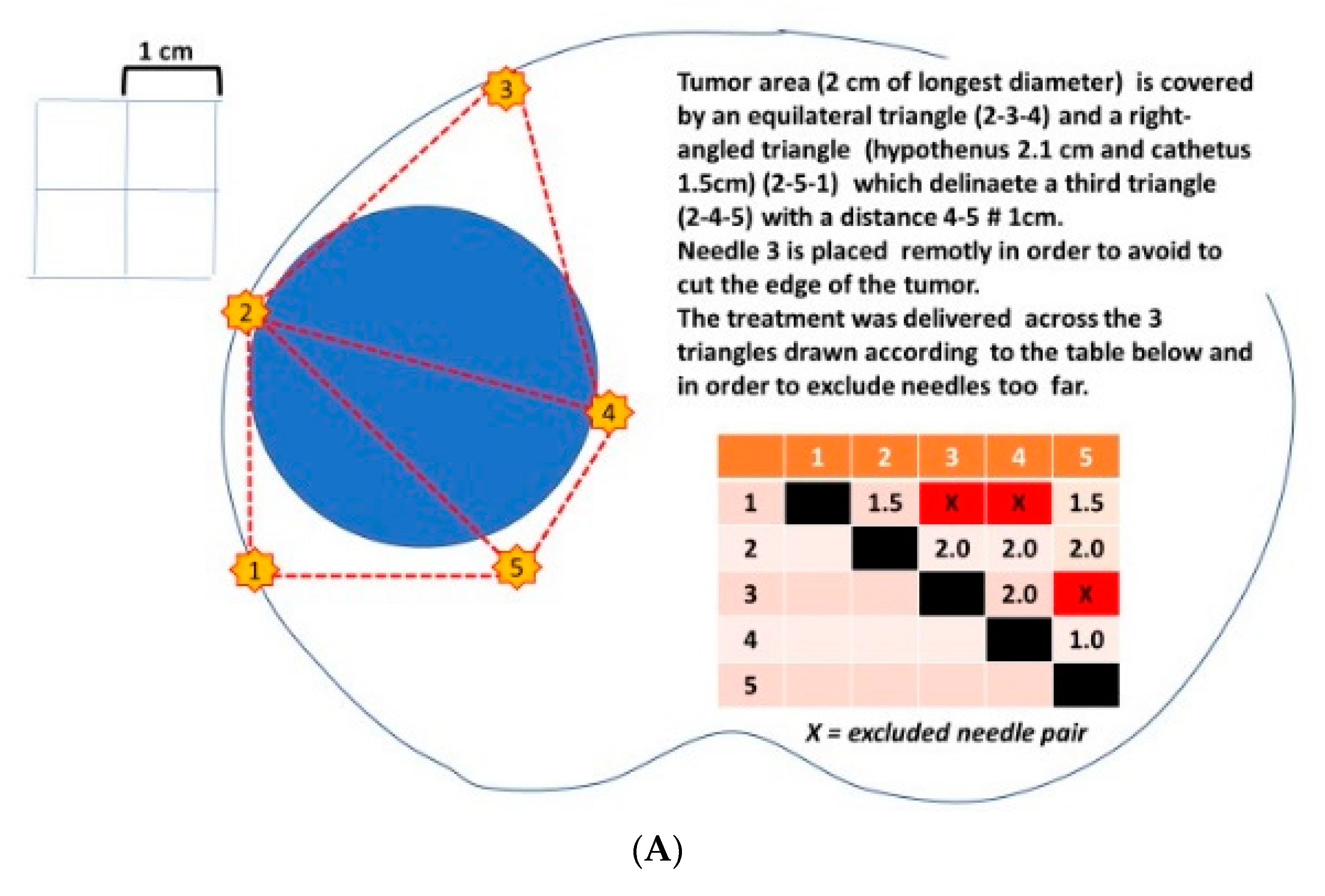 Anatomia 02 00021 g005a