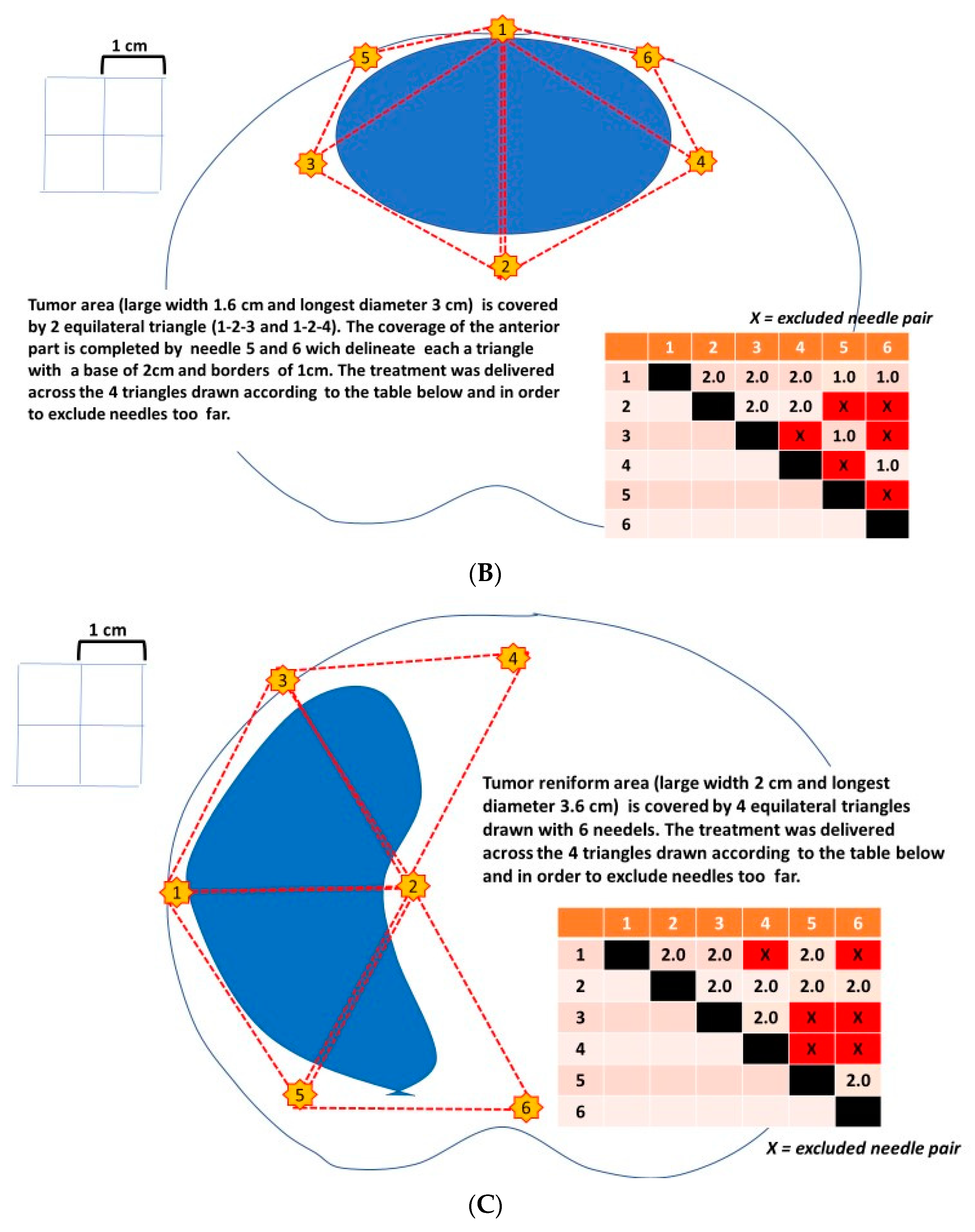 Anatomia 02 00021 g005b