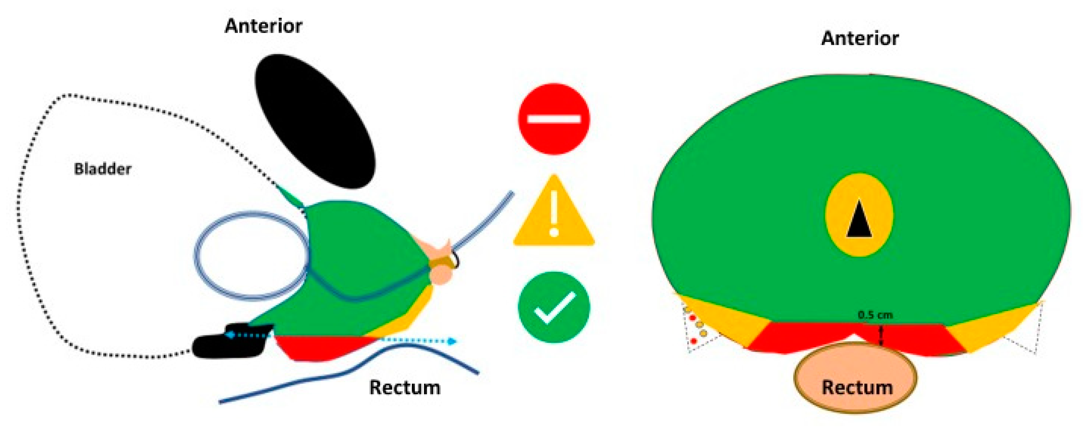 Anatomia 02 00021 g006