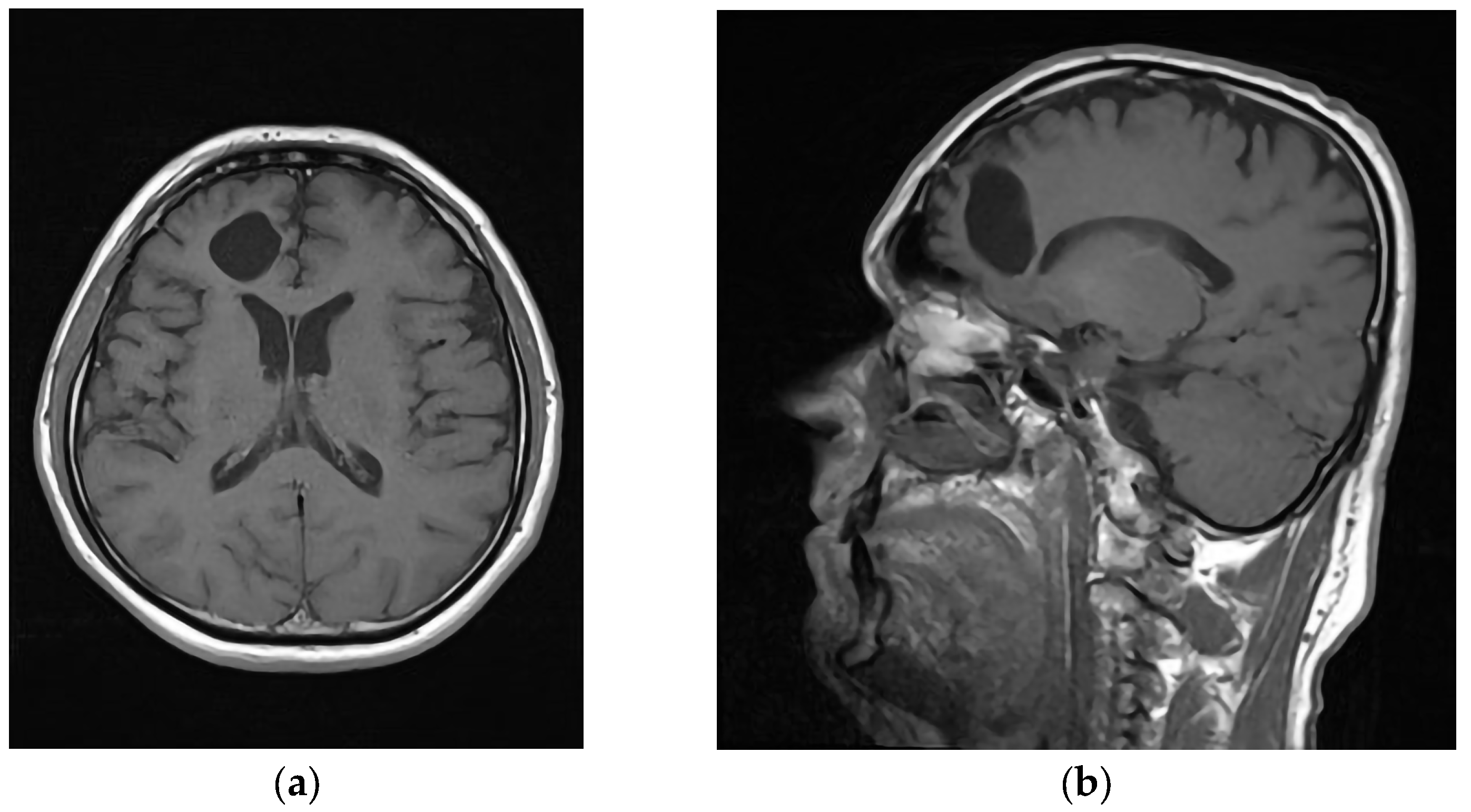 Anatomia 02 00022 g003