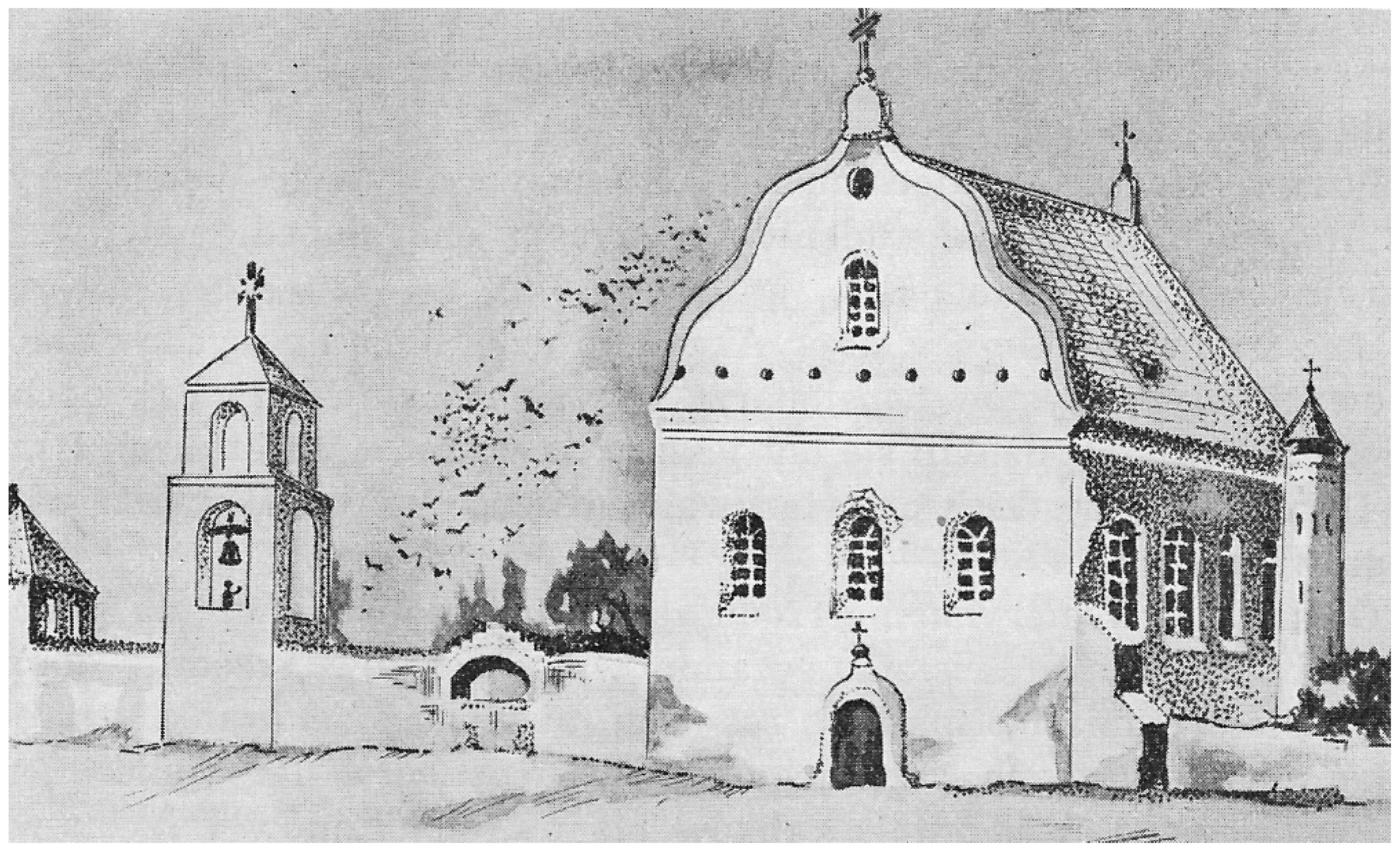 Anatomia 02 00024 g002