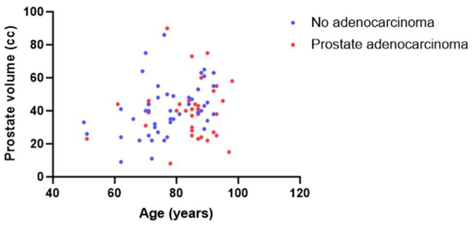Anatomia 02 00027 g001