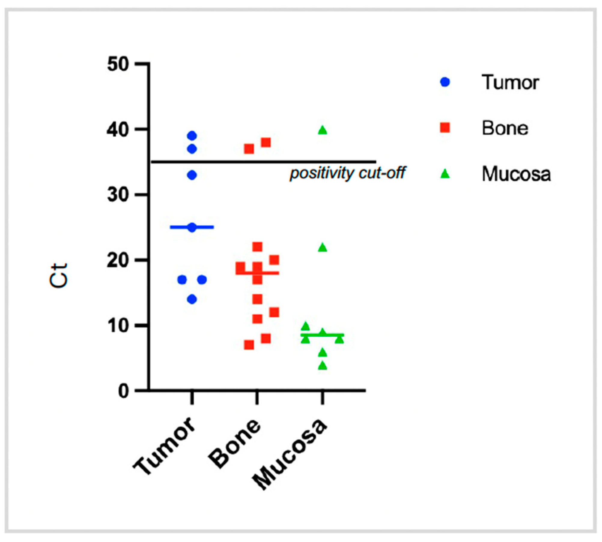 Anatomia 03 00006 g004