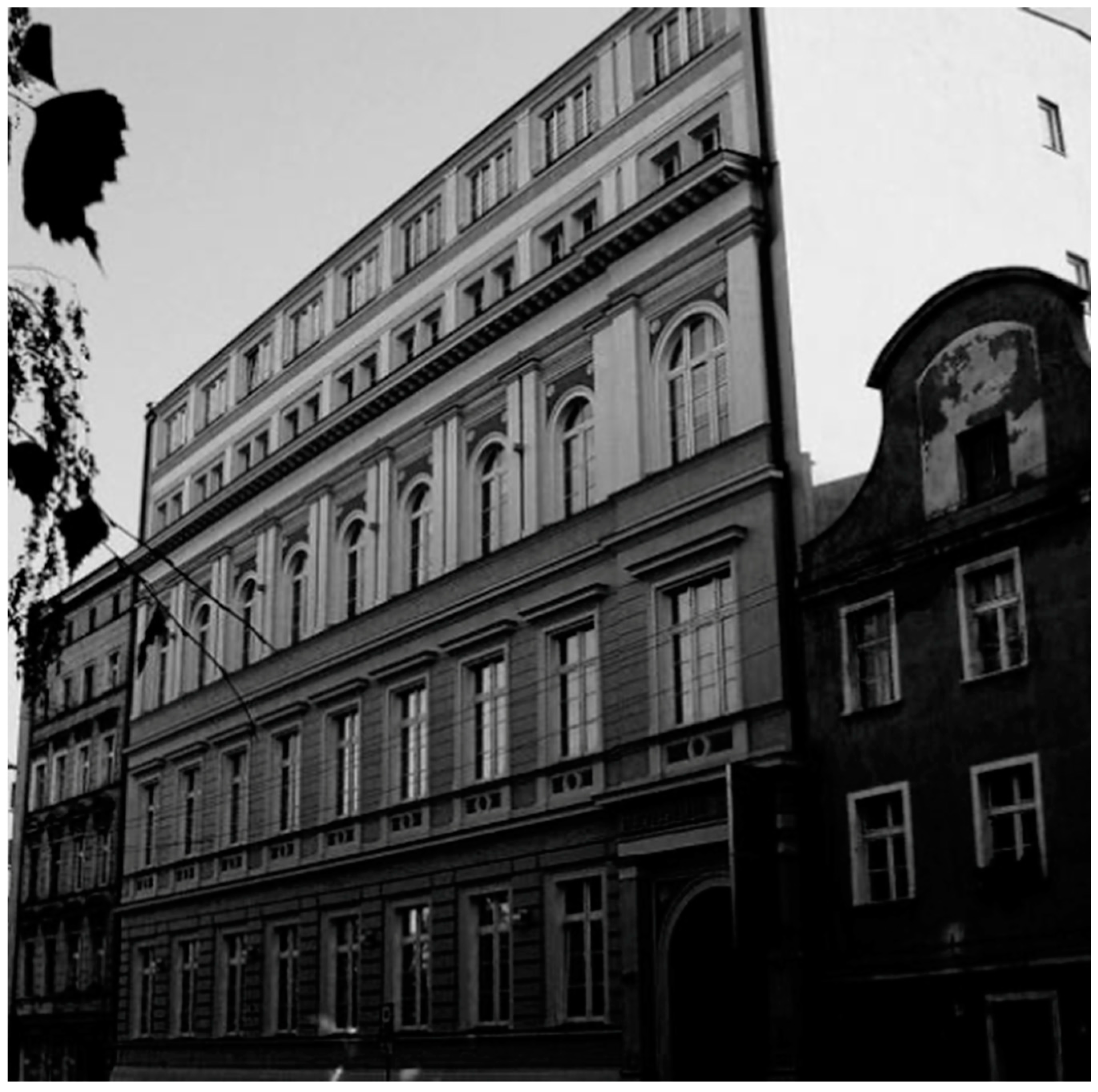 Anatomia 03 00024 g002