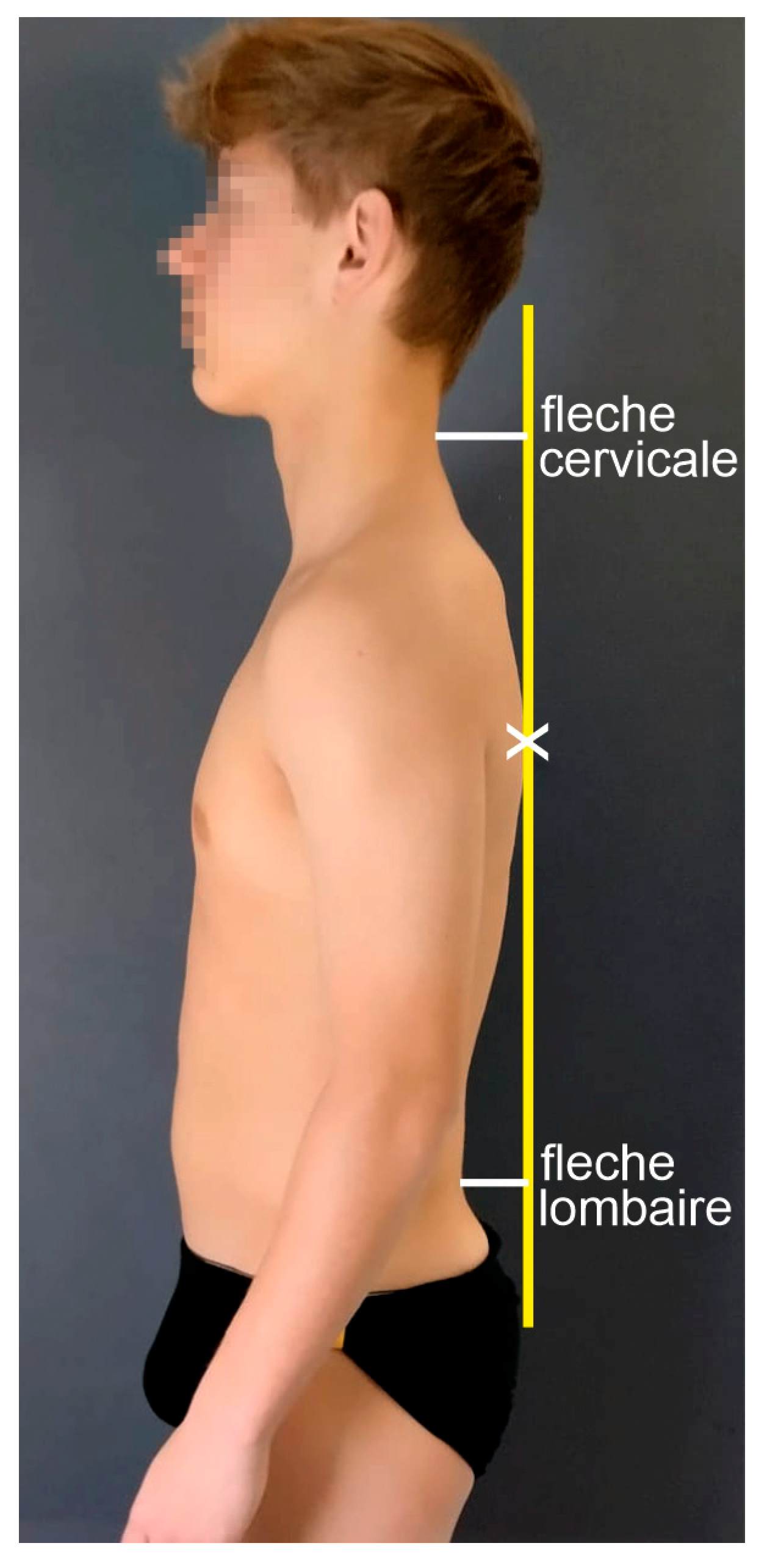 Anatomia 04 00005 g007