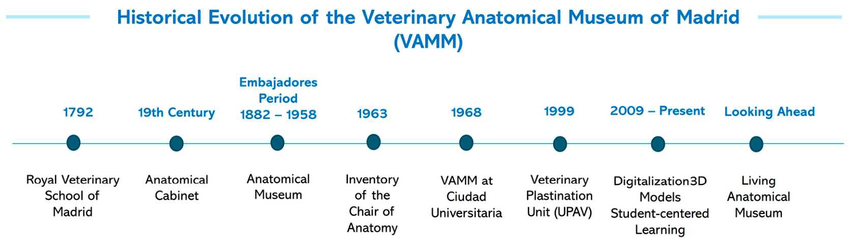 Anatomia 05 00029 g001 Anatomia 05 00029 g001