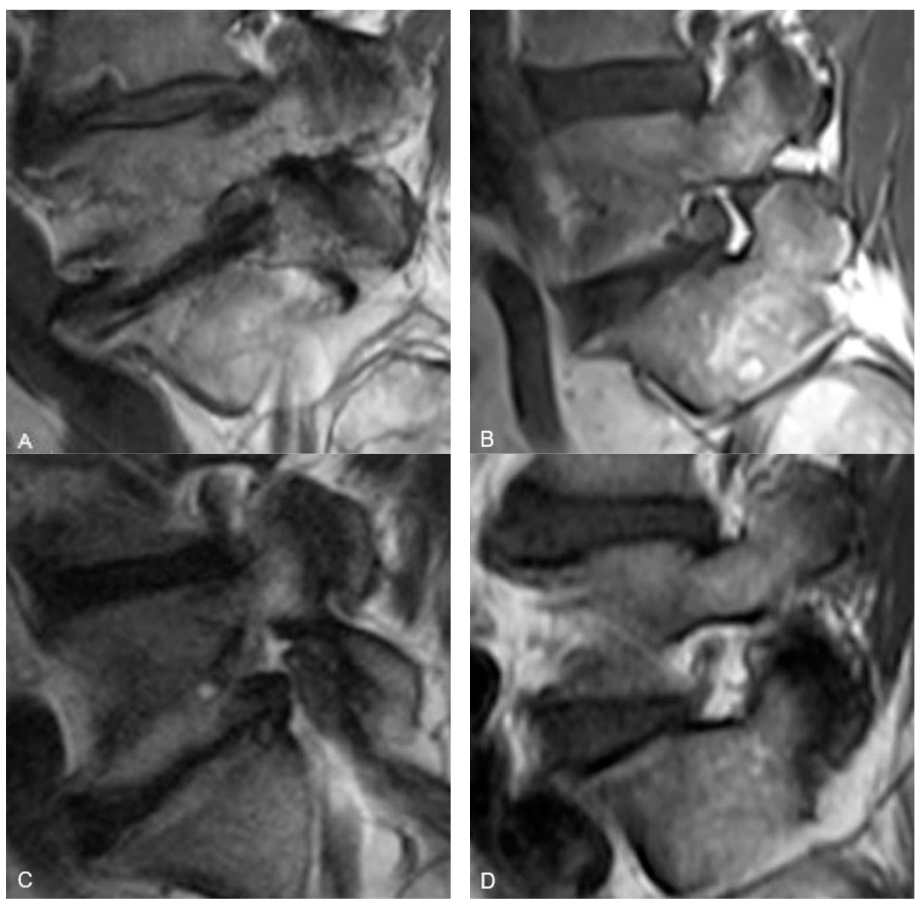 Anesthres 01 00006 g001