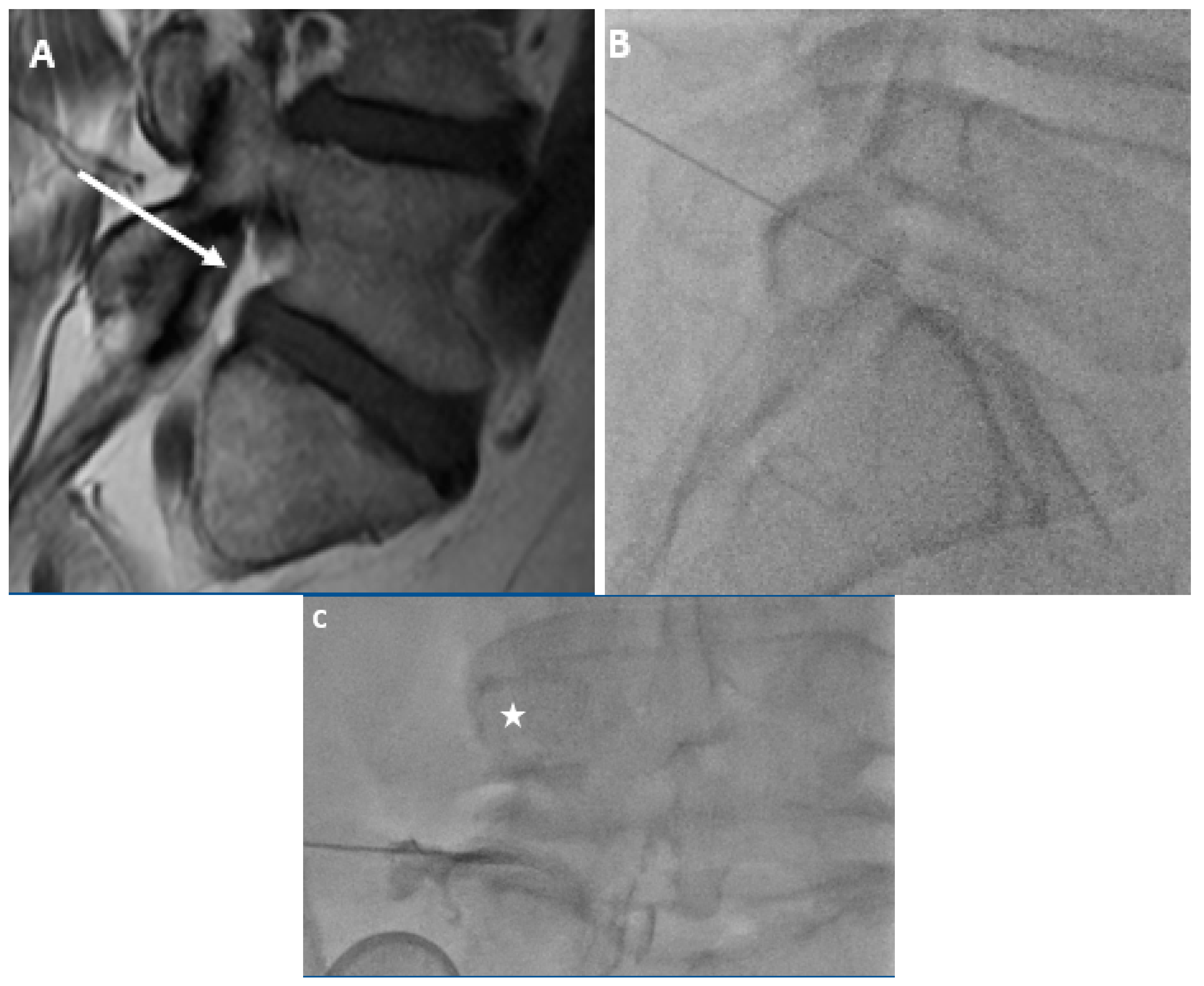 Anesthres 01 00006 g003