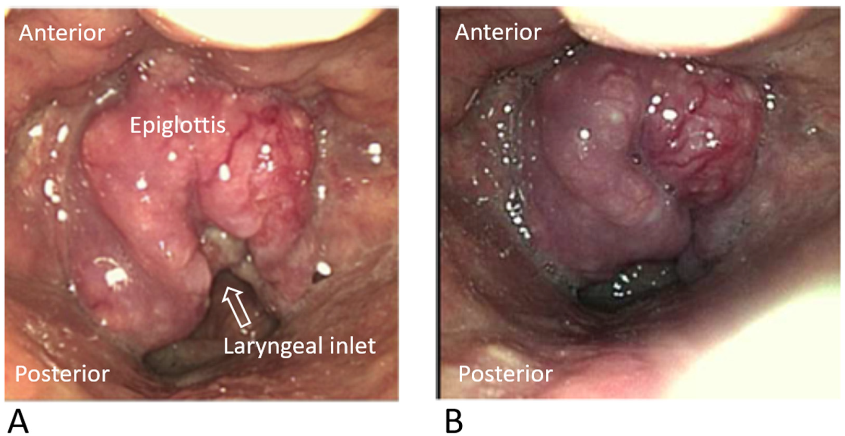 Anesthres 02 00005 g001