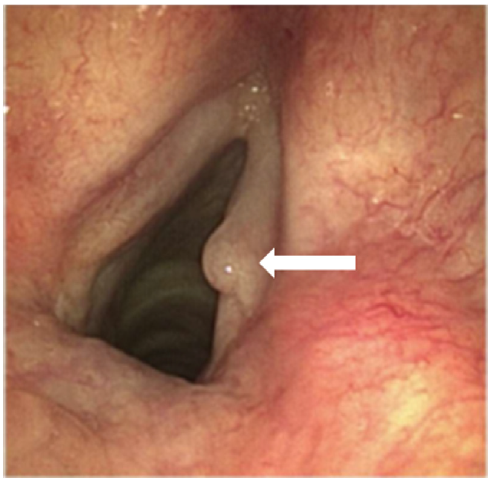 Anesthres 02 00005 g002