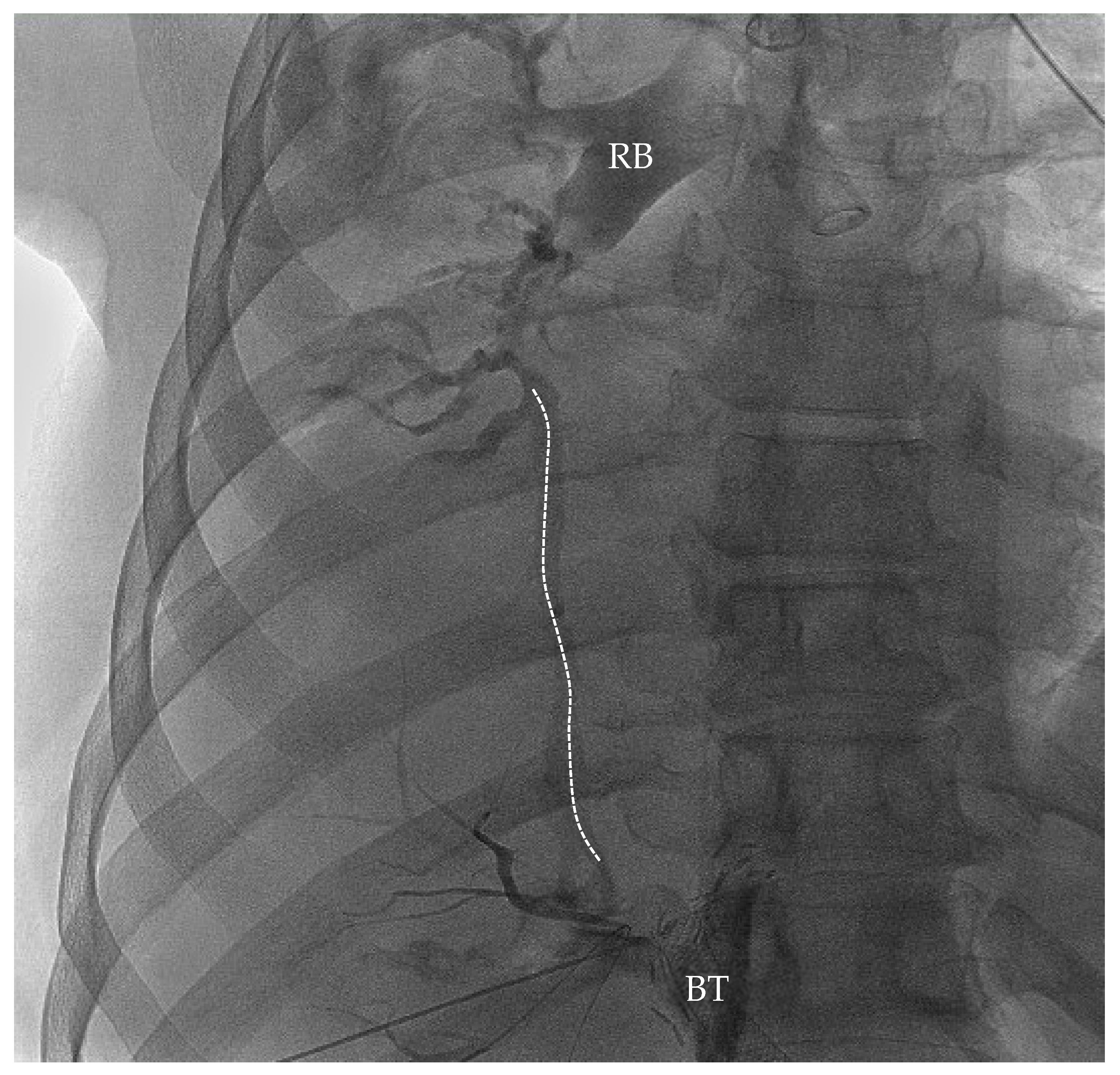 Anesthres 02 00017 g001