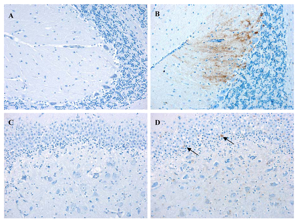 Animals 01 00402f3 1024