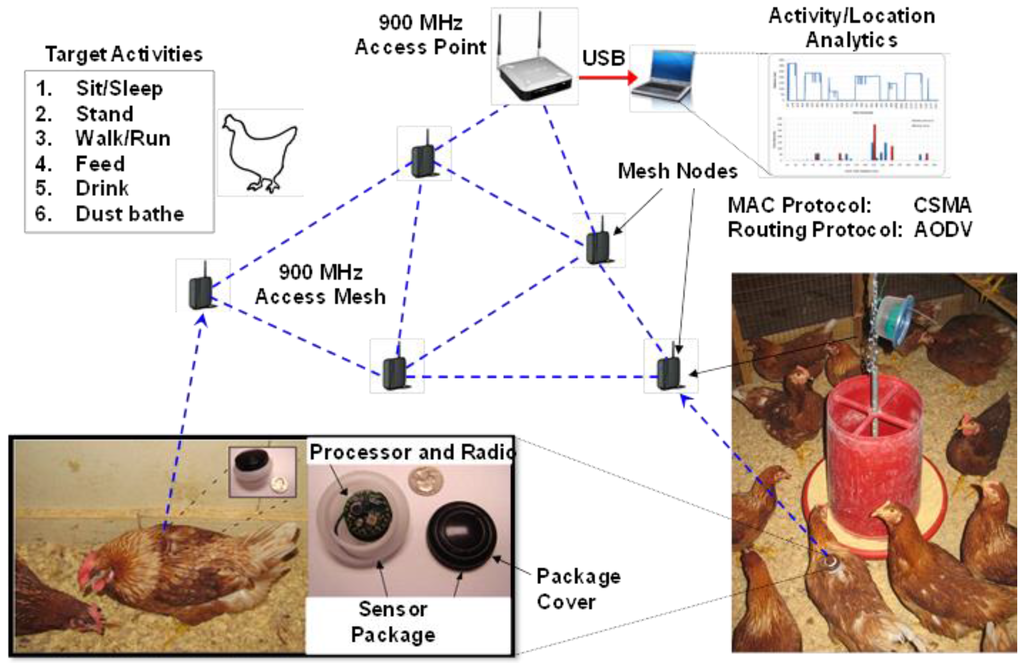 Animals 06 00010 g005 1024