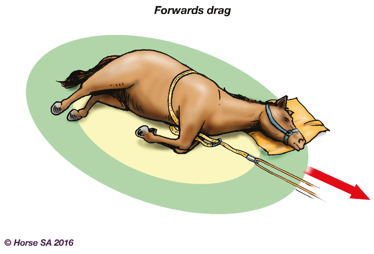 Animals 06 00016 g002