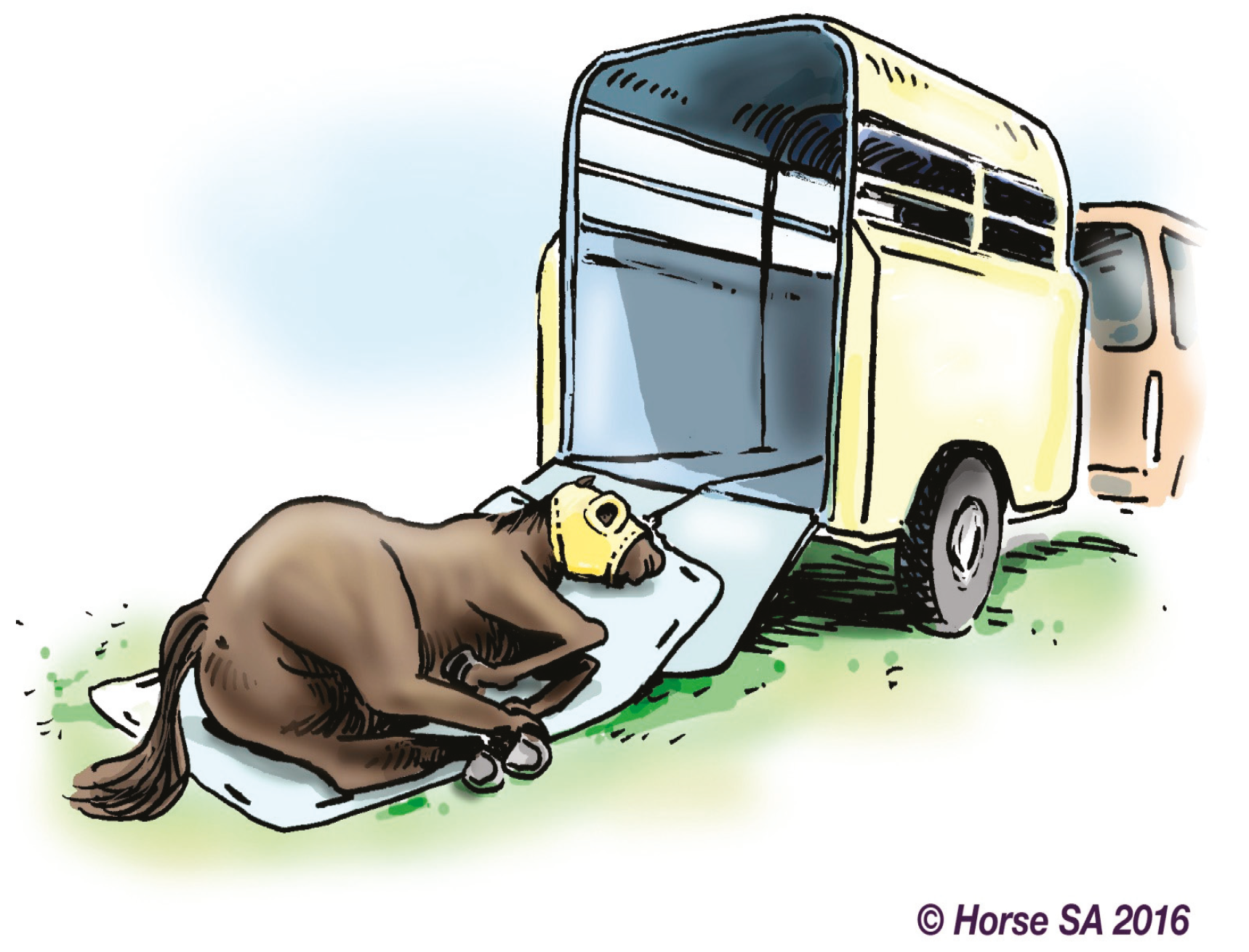 Animals 06 00016 g006